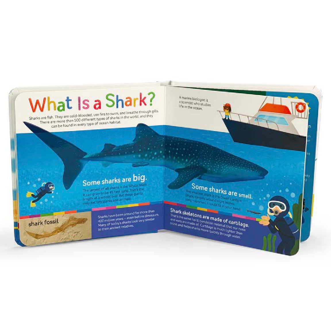 Smithsonian Kids Sharks