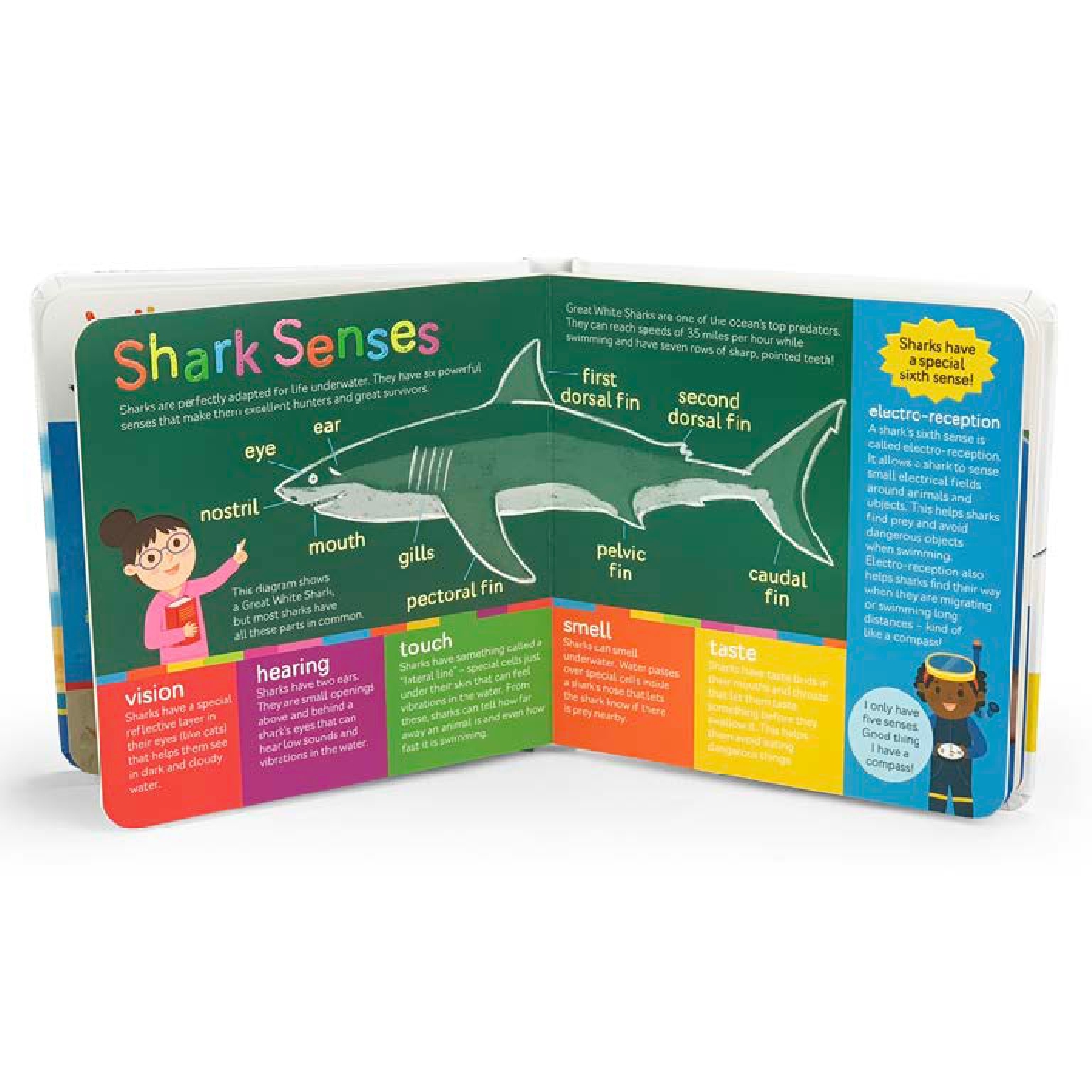 Smithsonian Kids Sharks