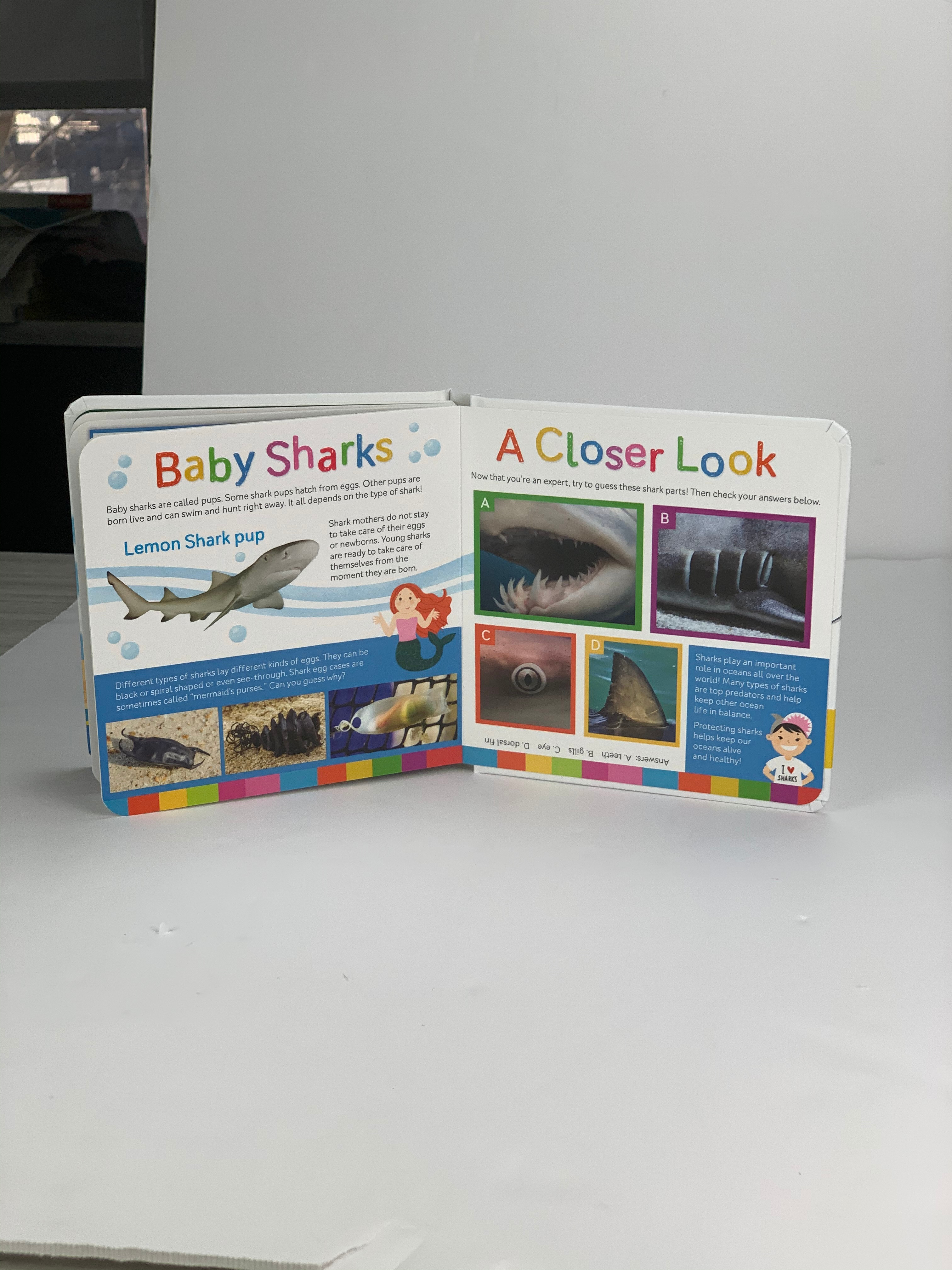 Smithsonian Kids Sharks