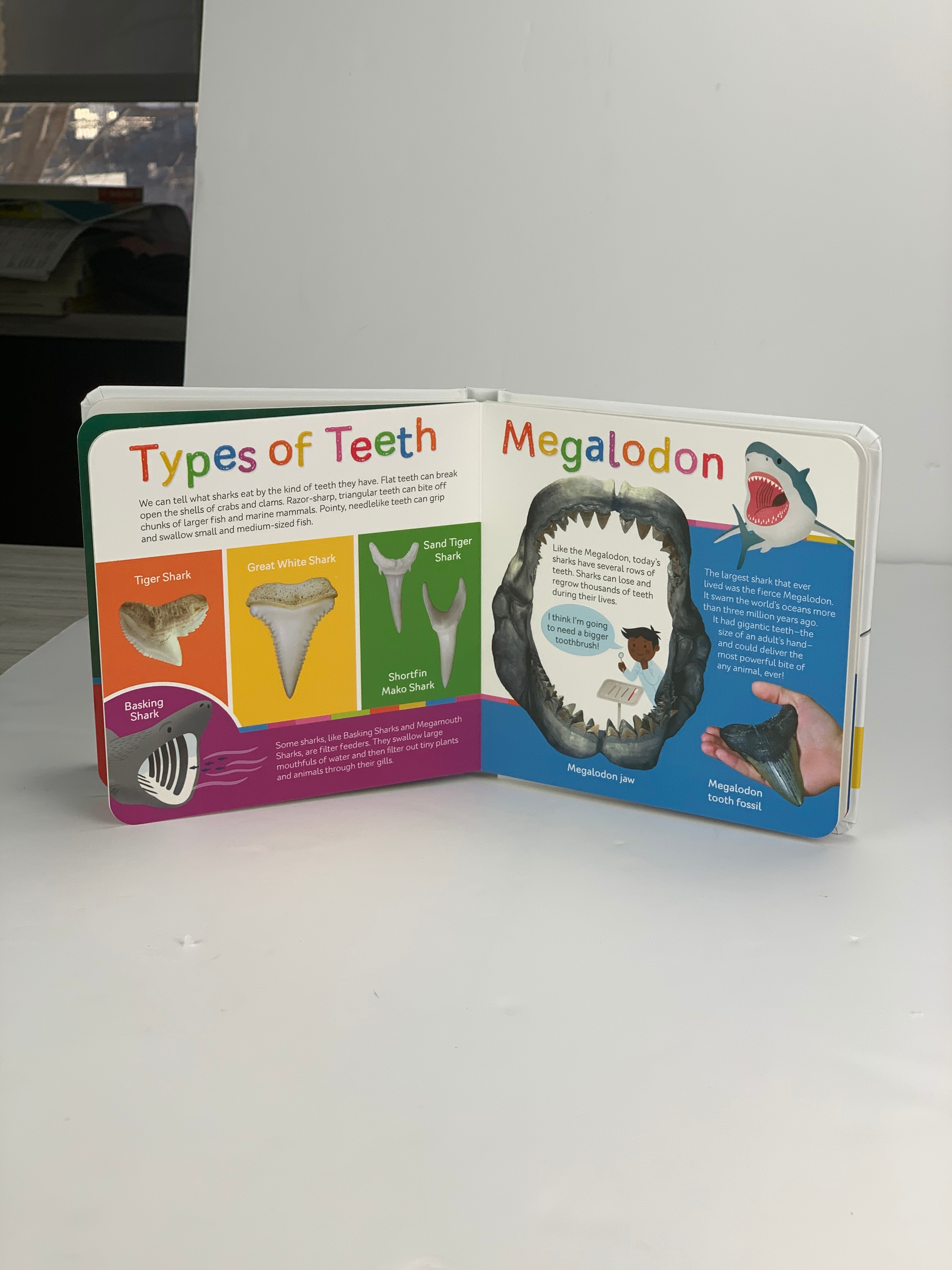 Smithsonian Kids Sharks