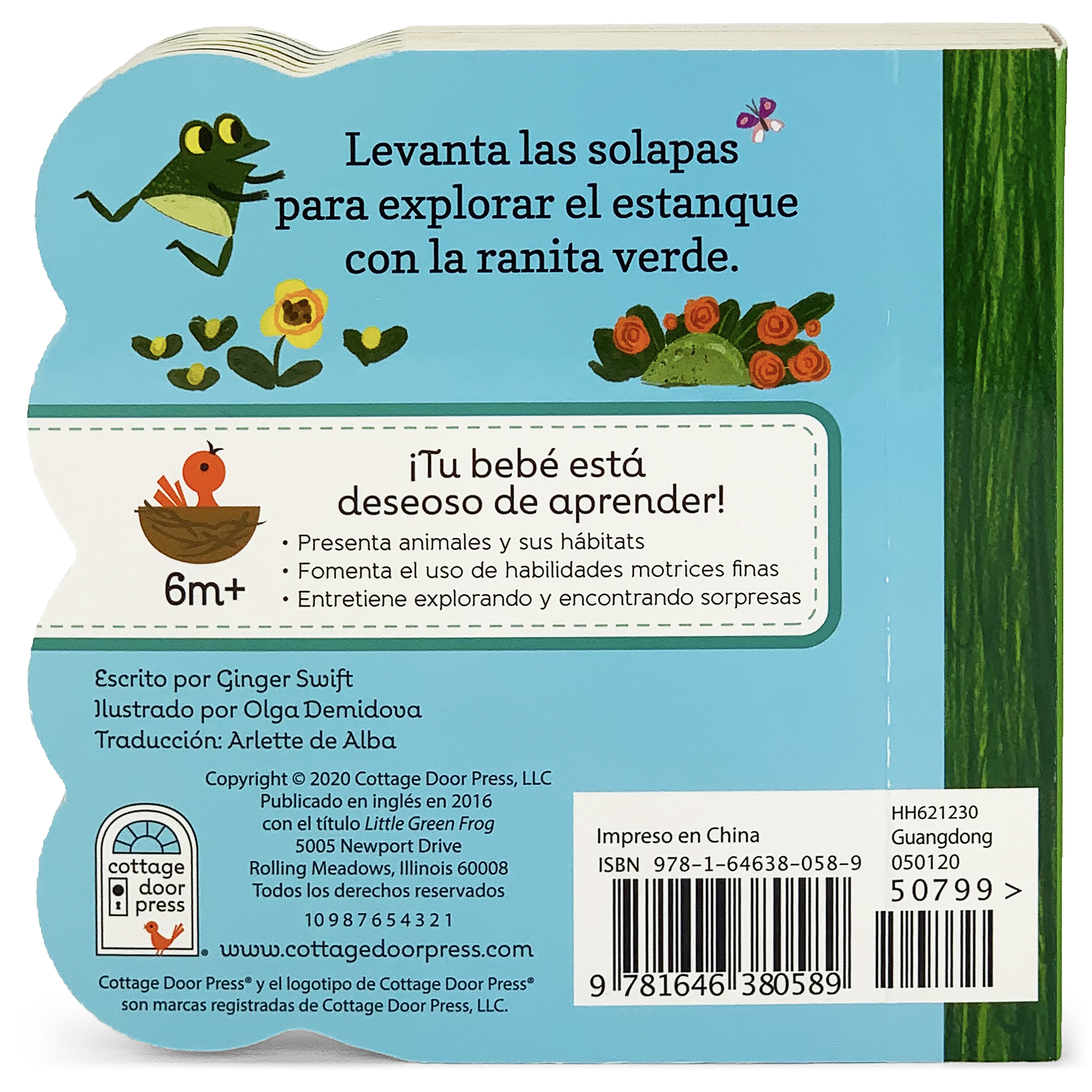 La Ranita Verde / Little Green Frog (Spanish Edition)