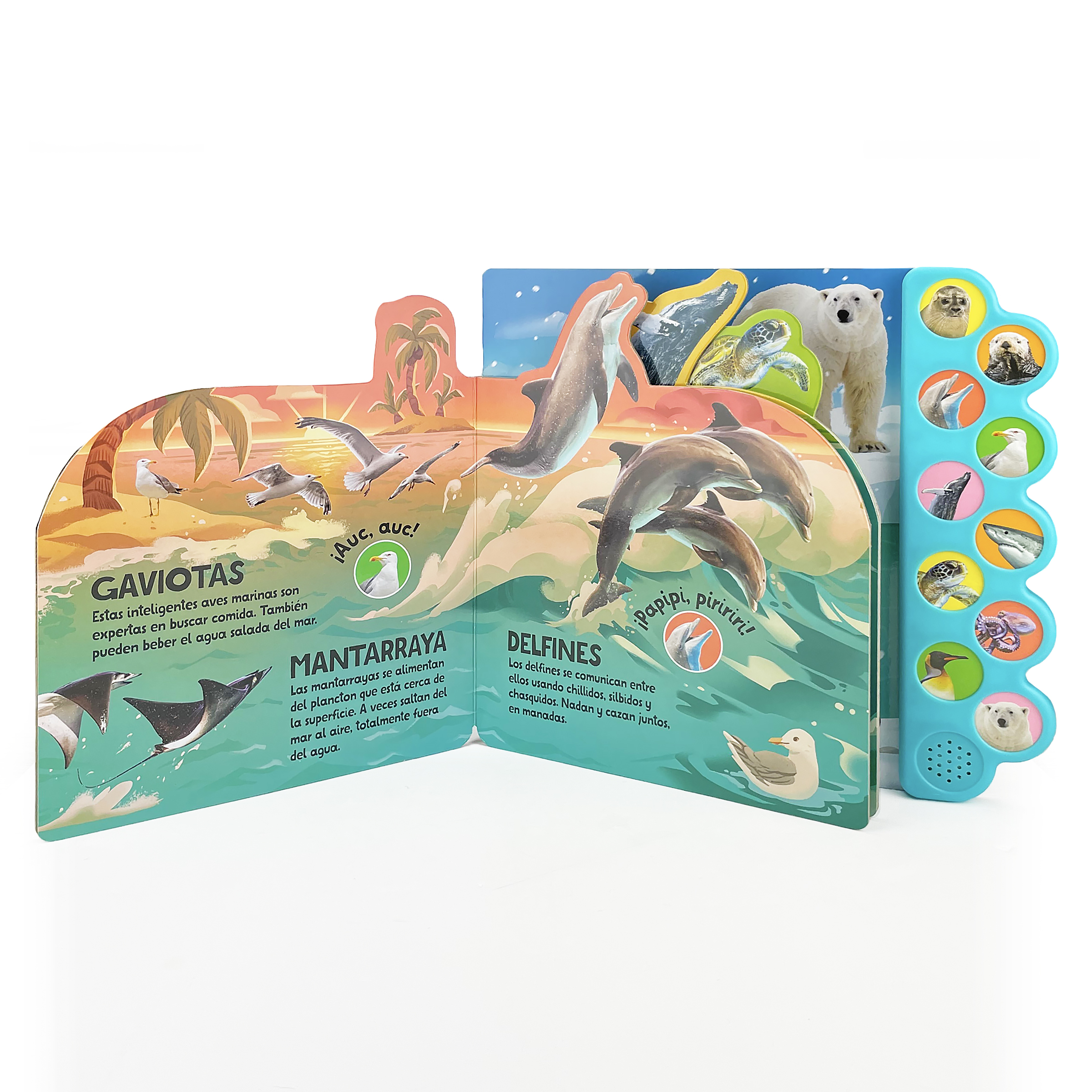 Nada y Salpica en el Mar! / Swim, Splash, in the Sea! (Spanish Edition)