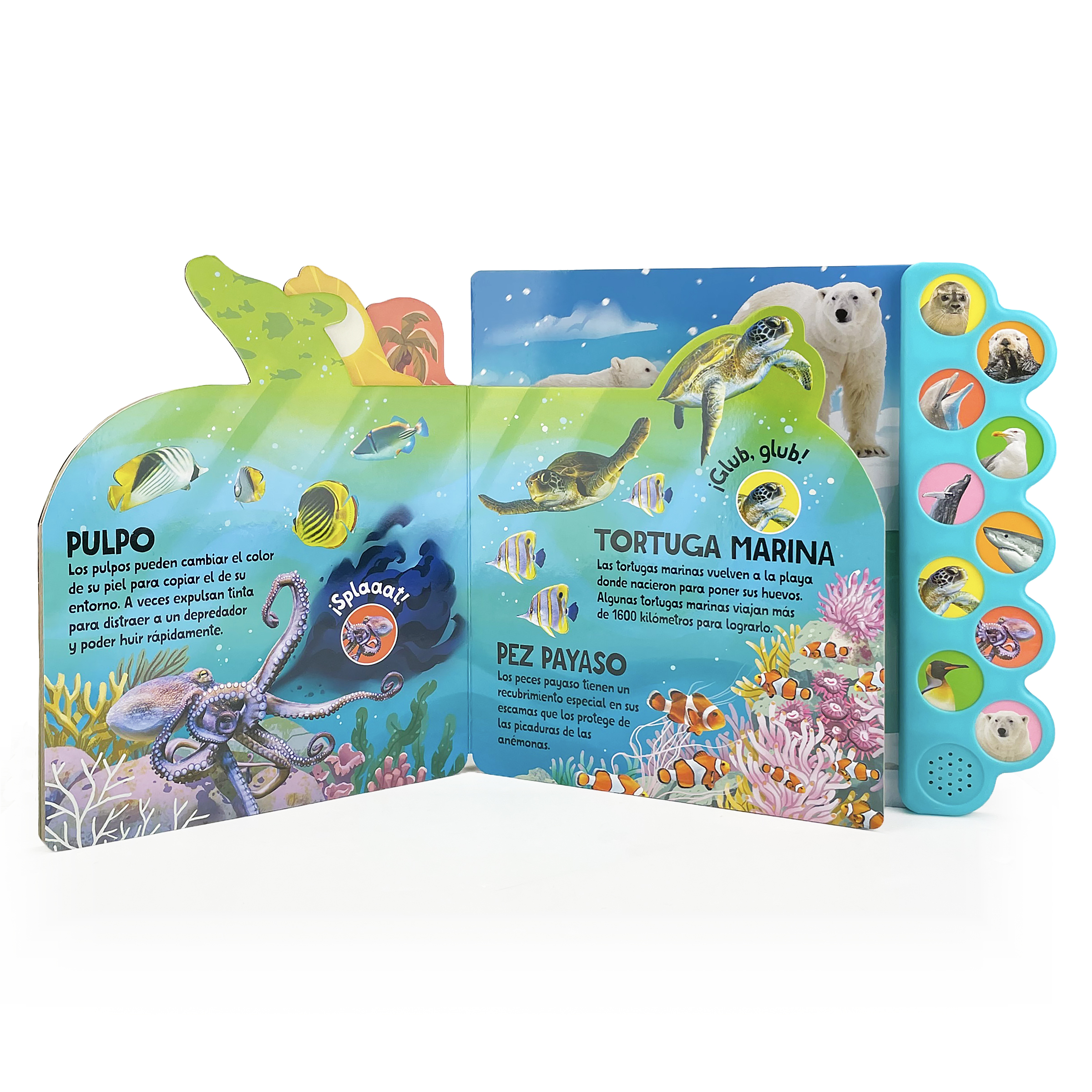 Nada y Salpica en el Mar! / Swim, Splash, in the Sea! (Spanish Edition)