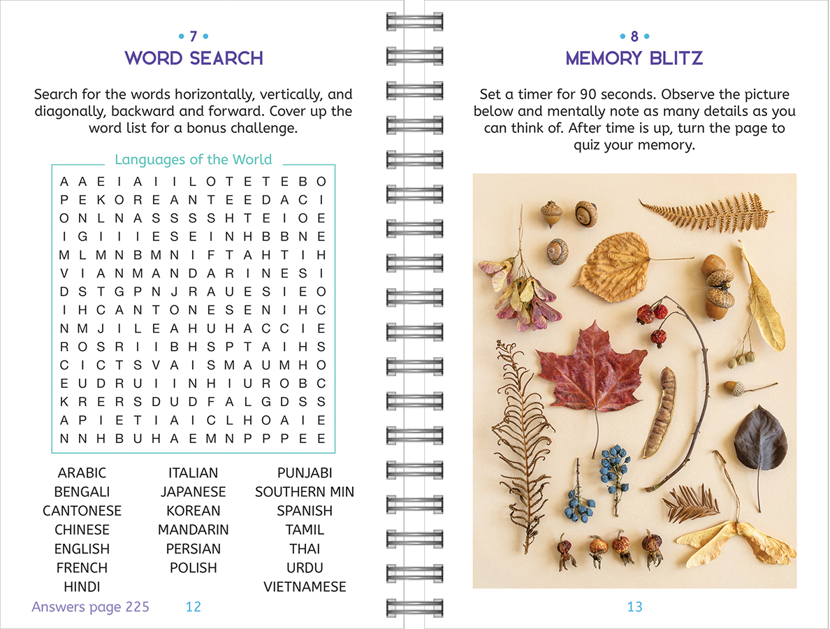 Large Print Memory Puzzles