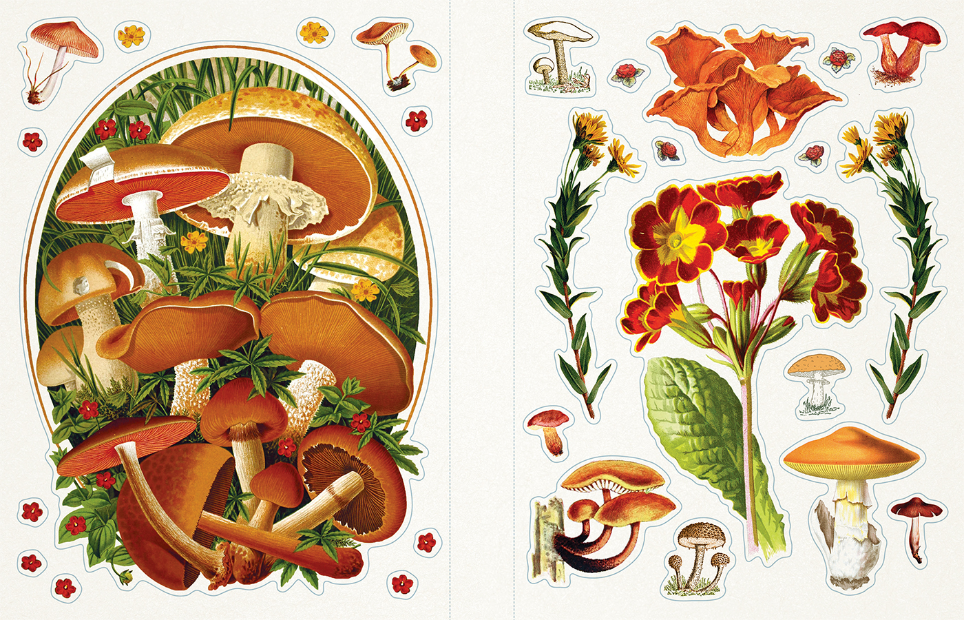 Sticker Emporium: Woodlandia