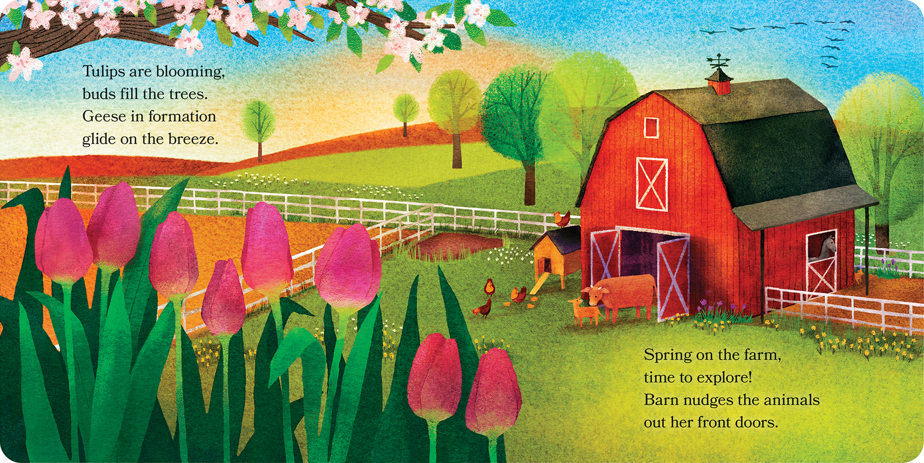 Barn in Spring: Out to Explore on the Farm