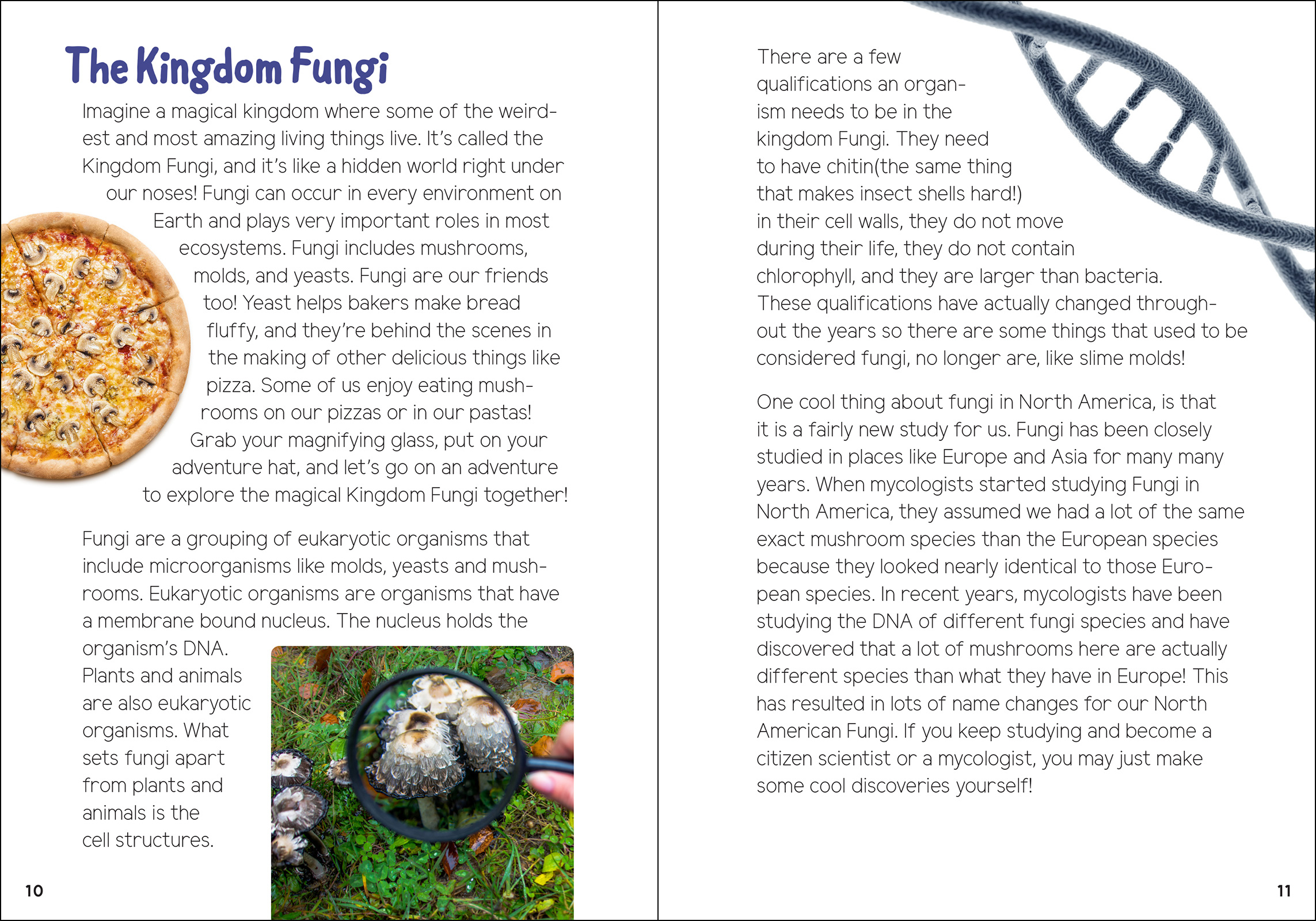 Mushrooms & Fungi for Kids