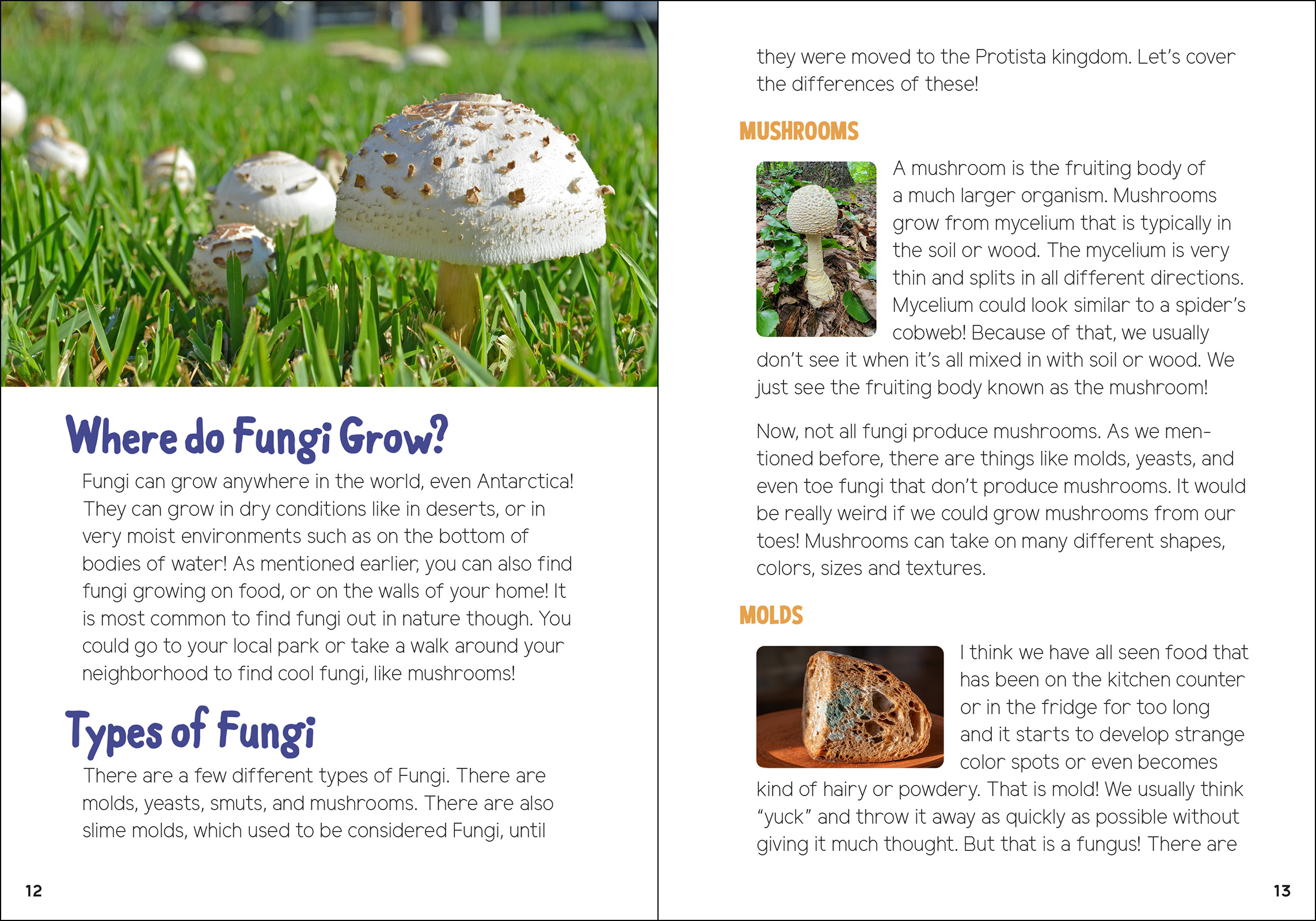 Mushrooms & Fungi for Kids