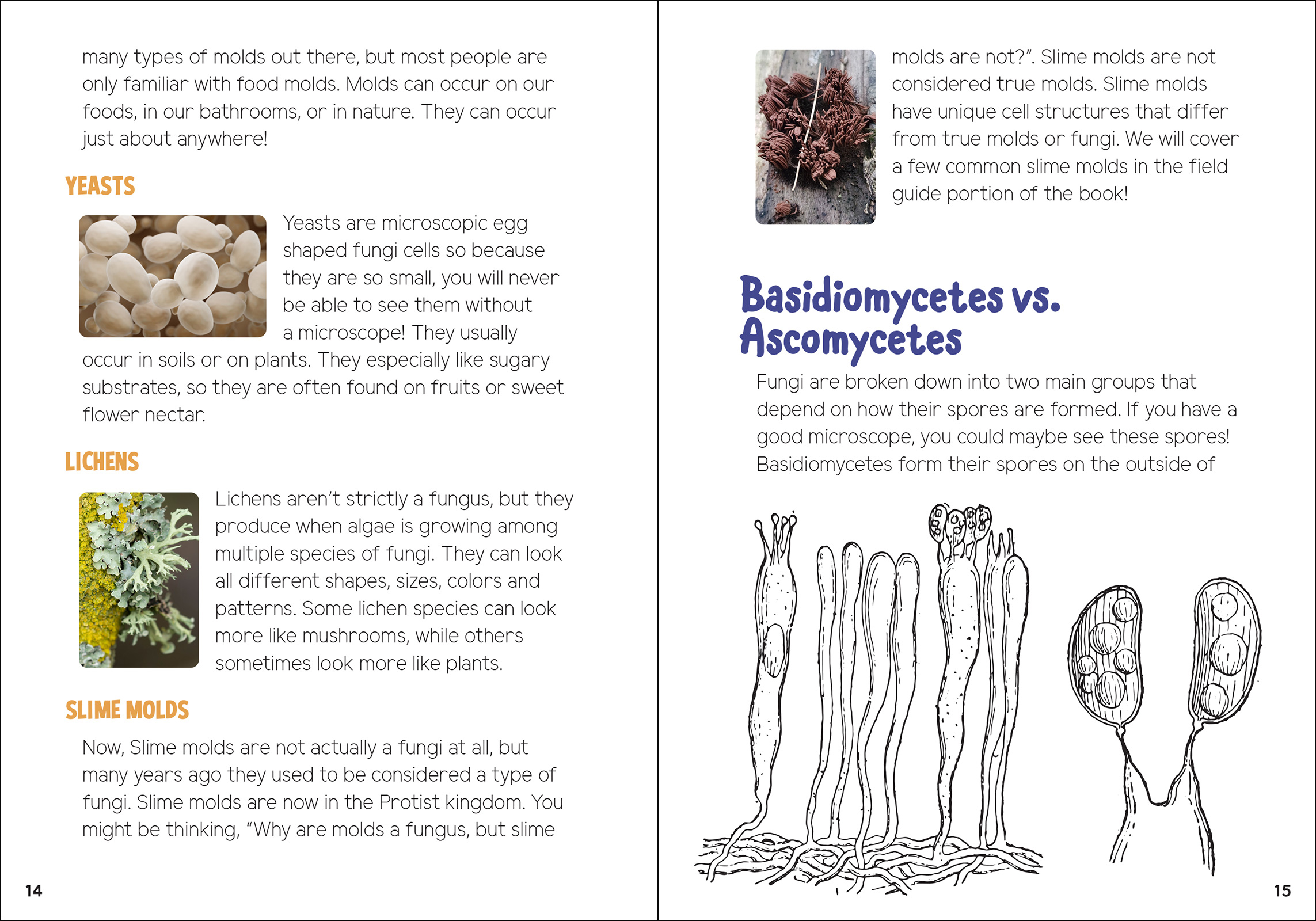 Mushrooms & Fungi for Kids