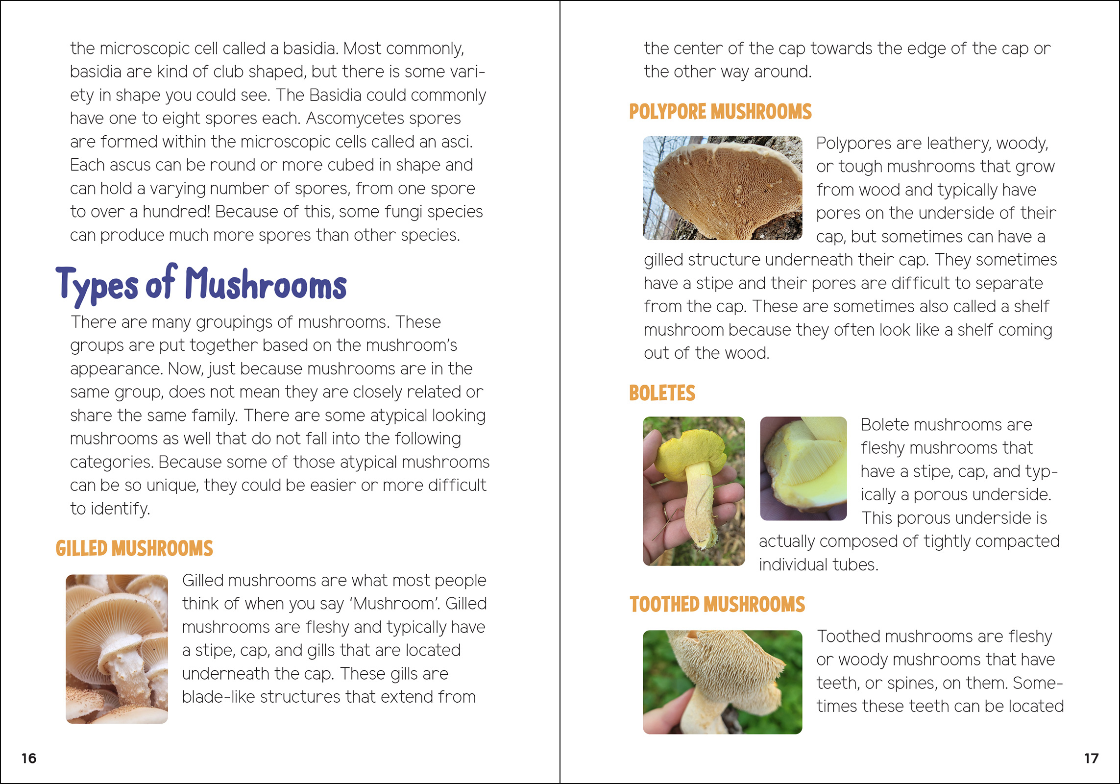 Mushrooms & Fungi for Kids