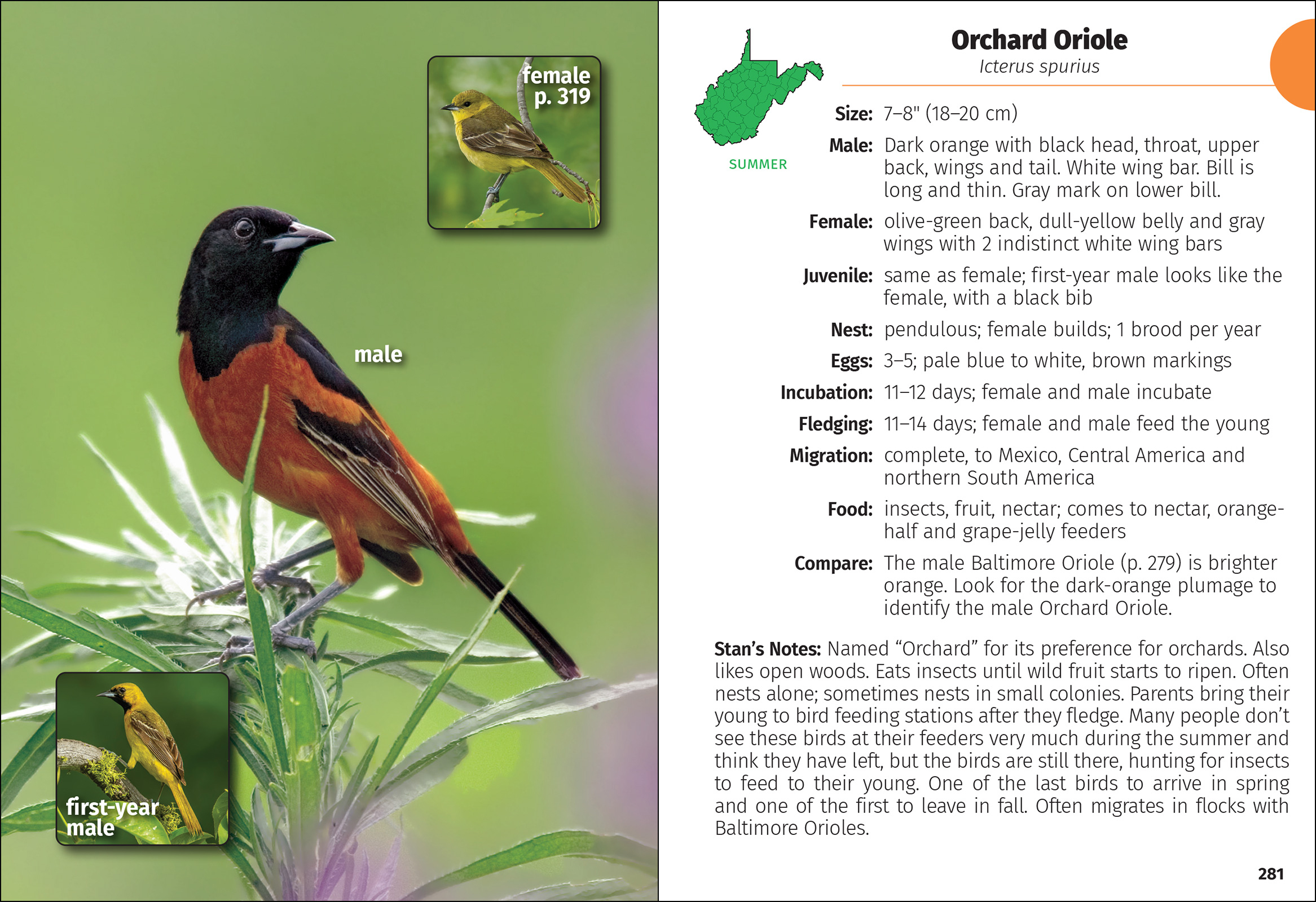 Birds of West Virginia Field Guide