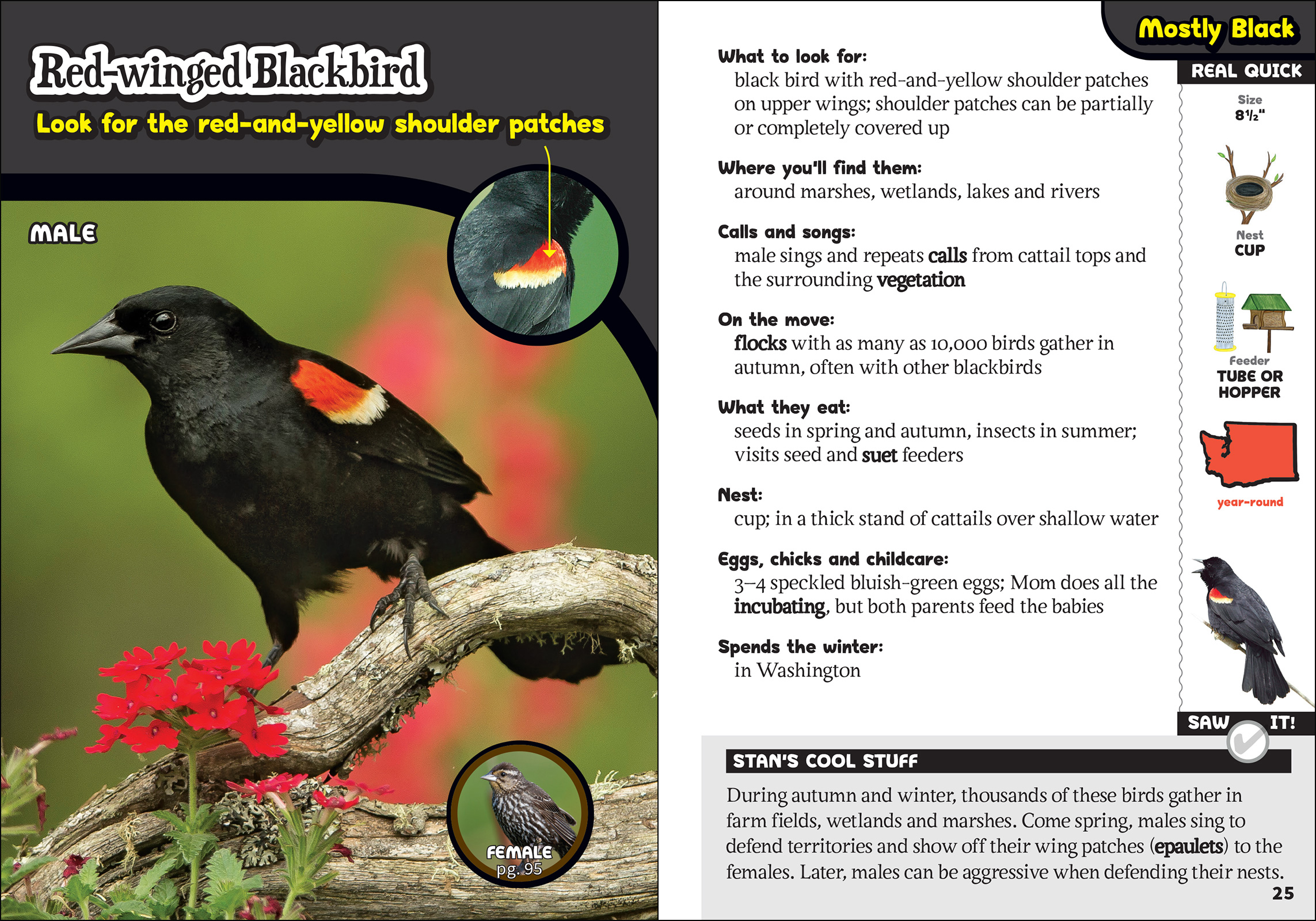 The Kids' Guide to Birds of Washington