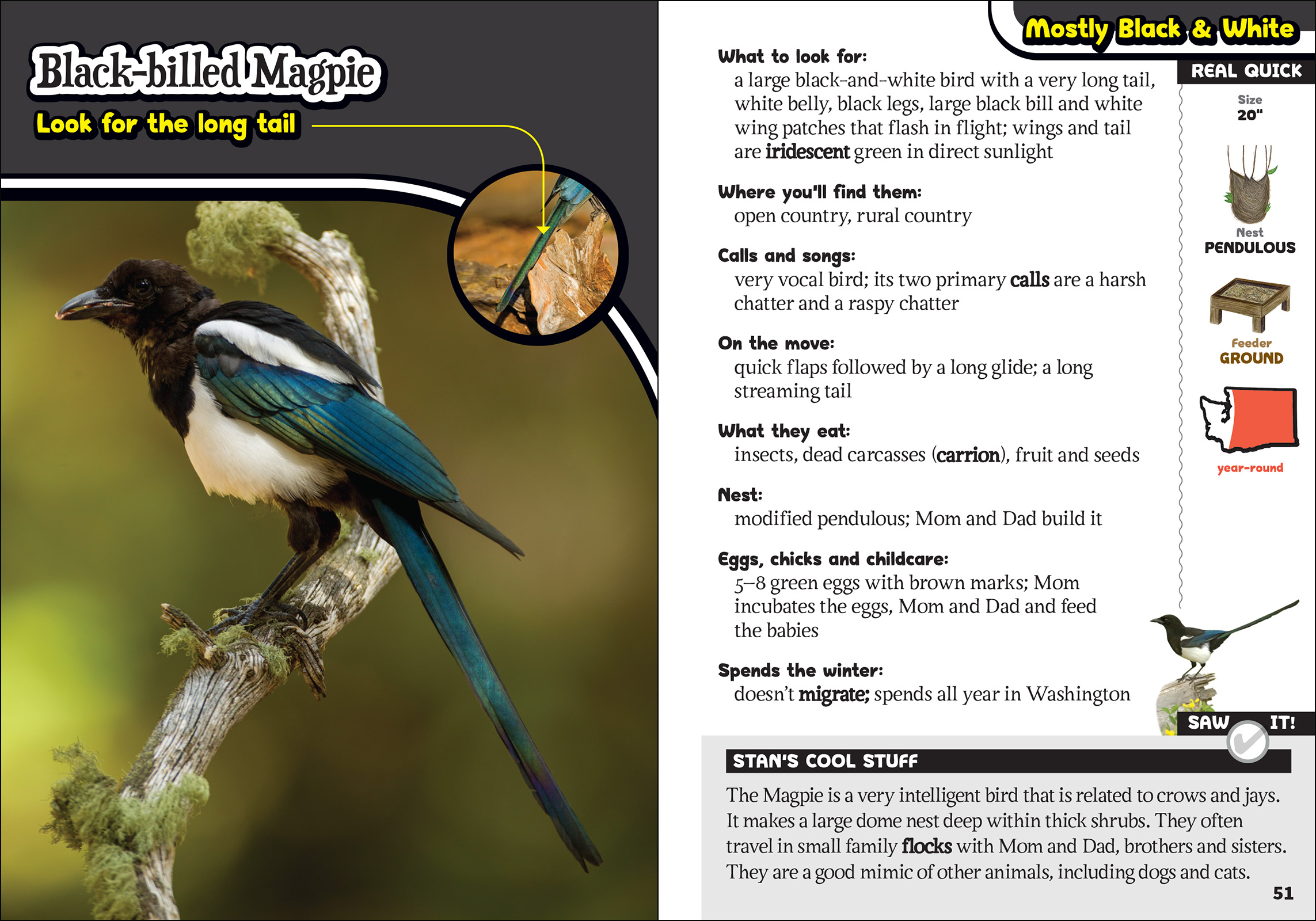The Kids' Guide to Birds of Washington
