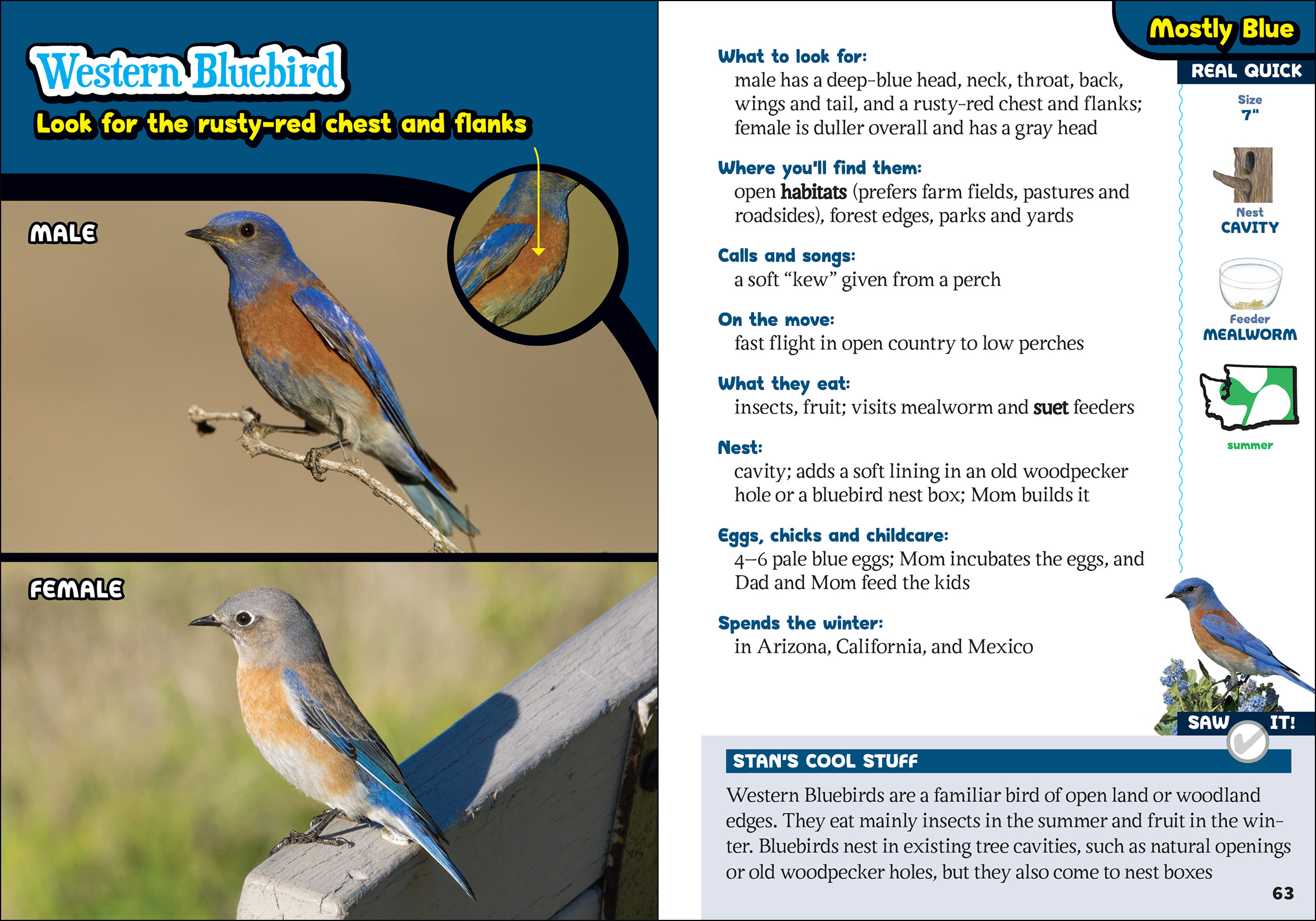 The Kids' Guide to Birds of Washington