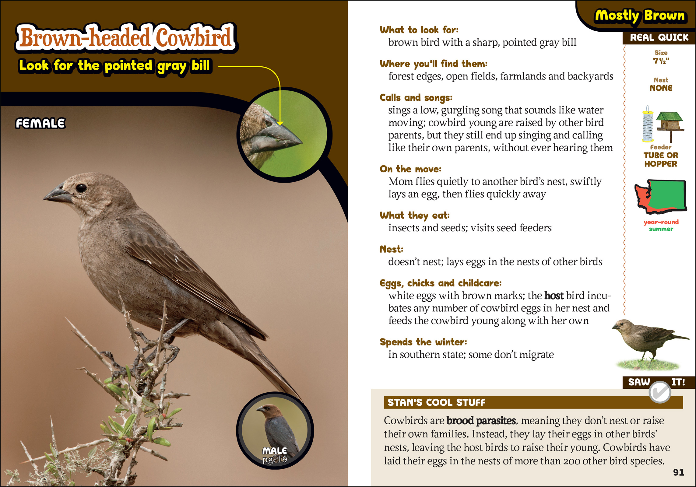 The Kids' Guide to Birds of Washington