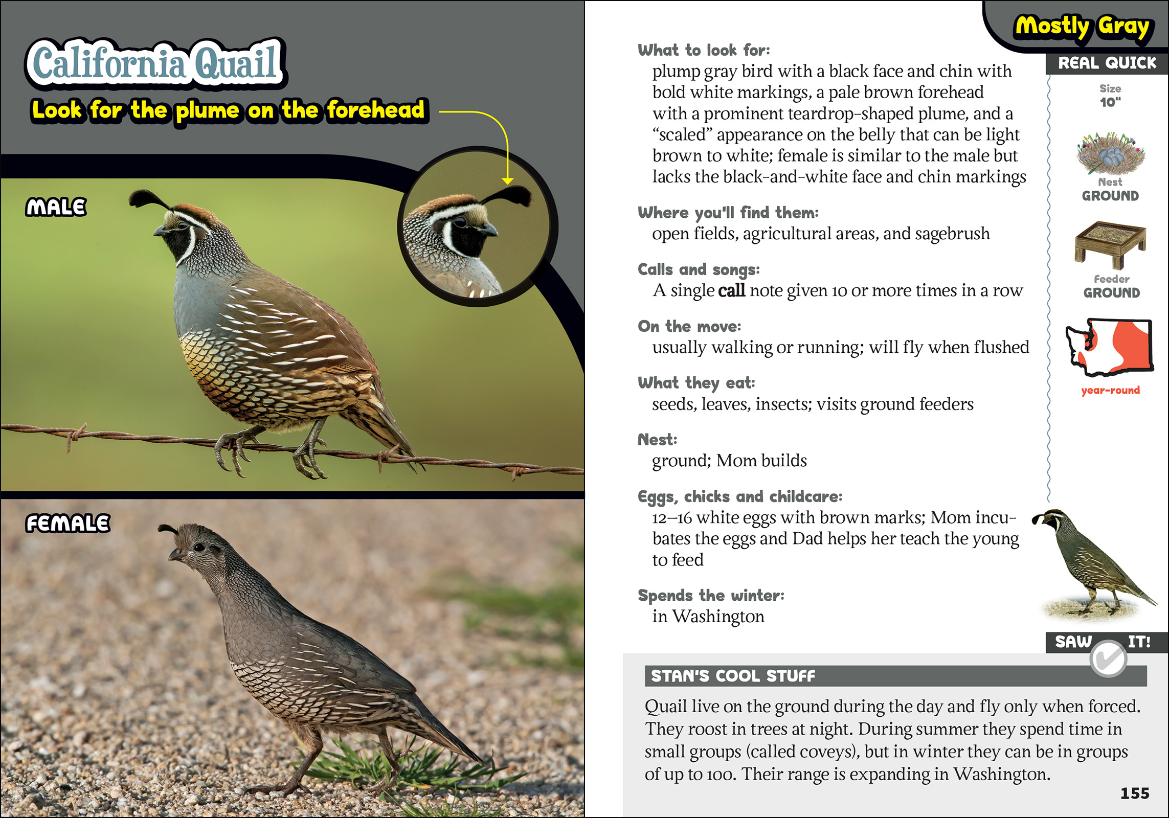 The Kids' Guide to Birds of Washington