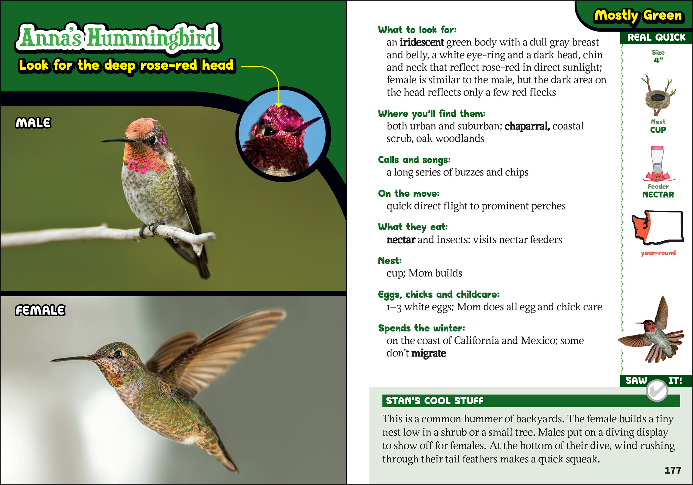 The Kids' Guide to Birds of Washington