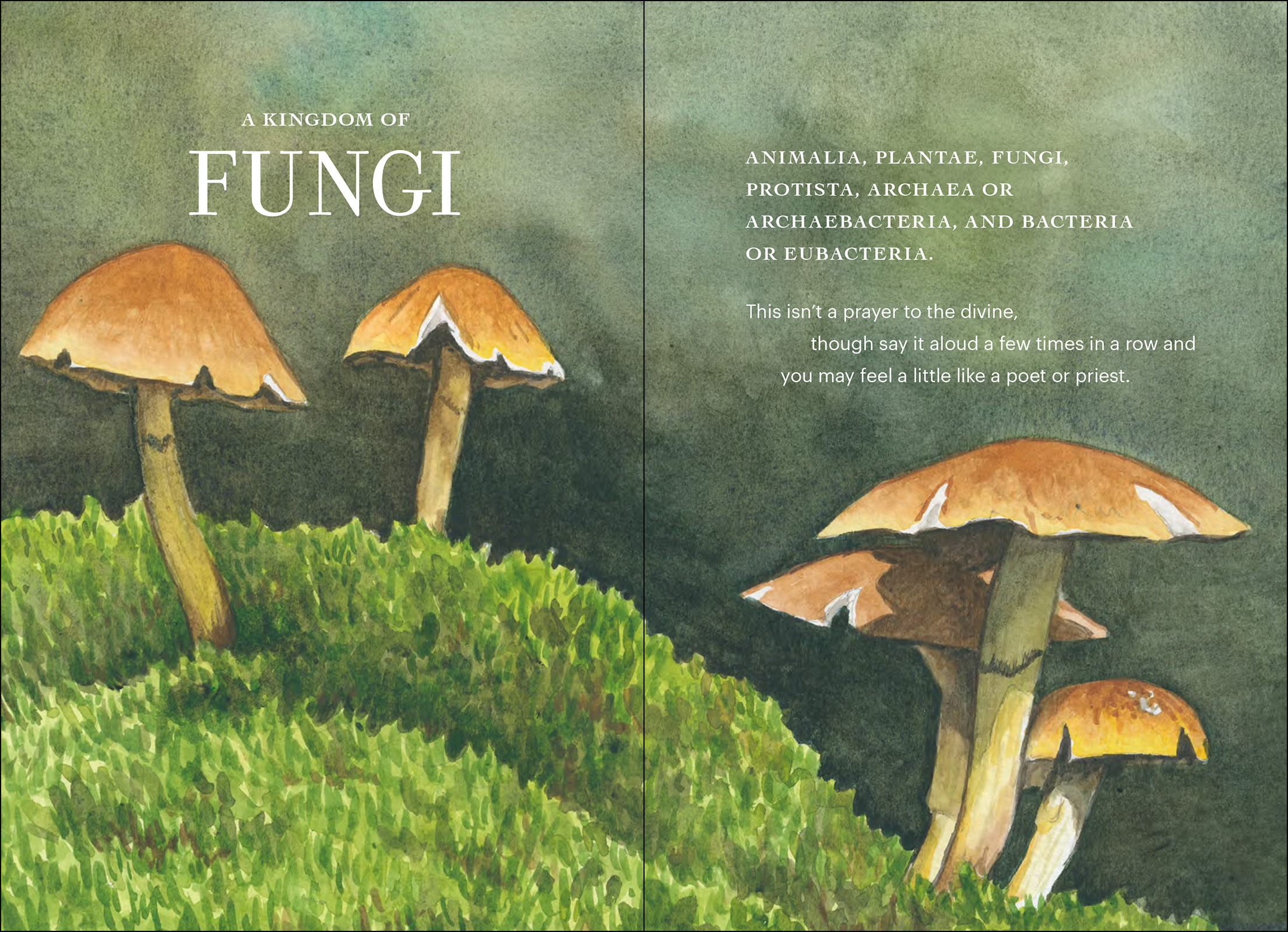The Wonder of Mushrooms