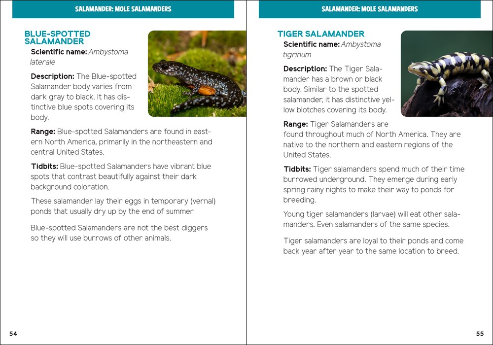 Reptiles & Amphibians for Kids