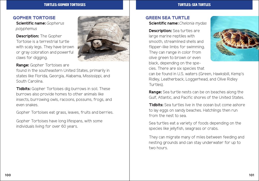 Reptiles & Amphibians for Kids