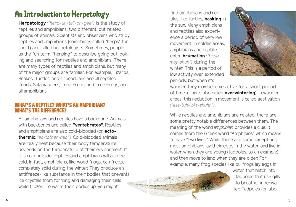 Reptiles & Amphibians for Kids