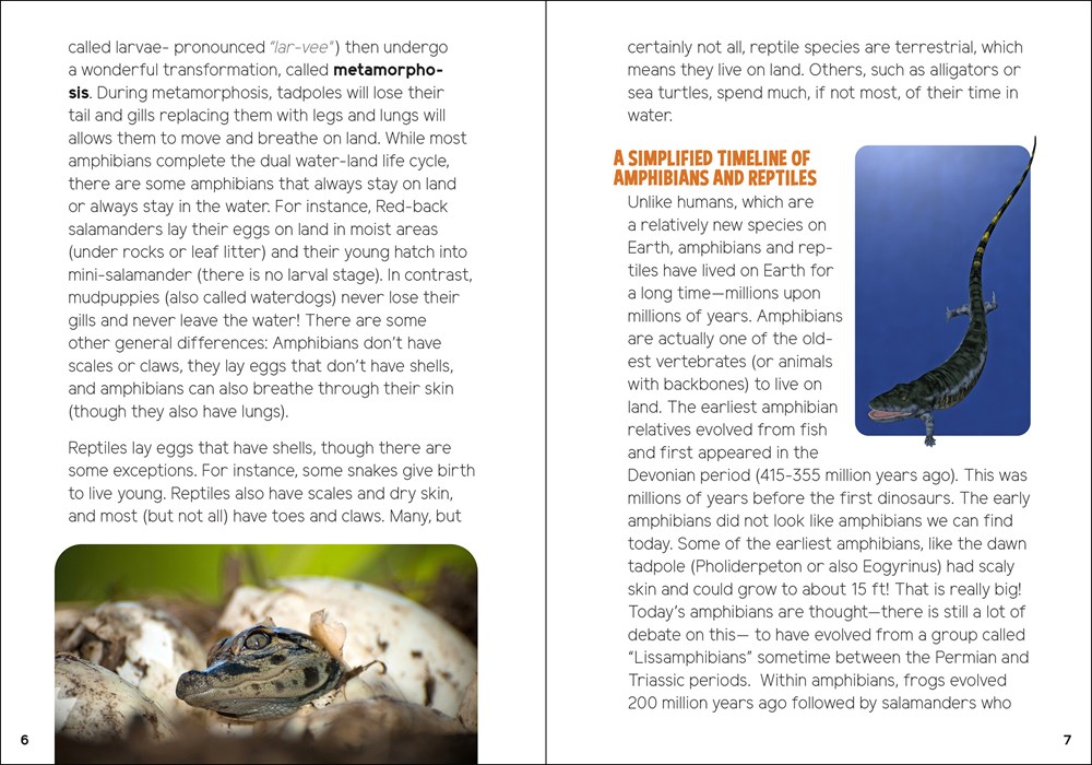 Reptiles & Amphibians for Kids