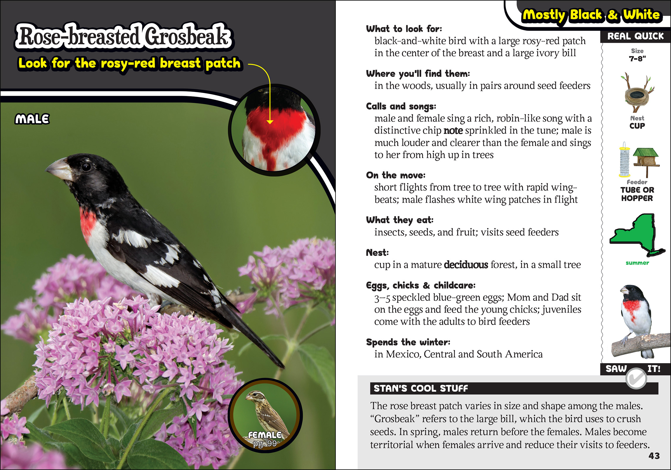 The Kids' Guide to Birds of New York