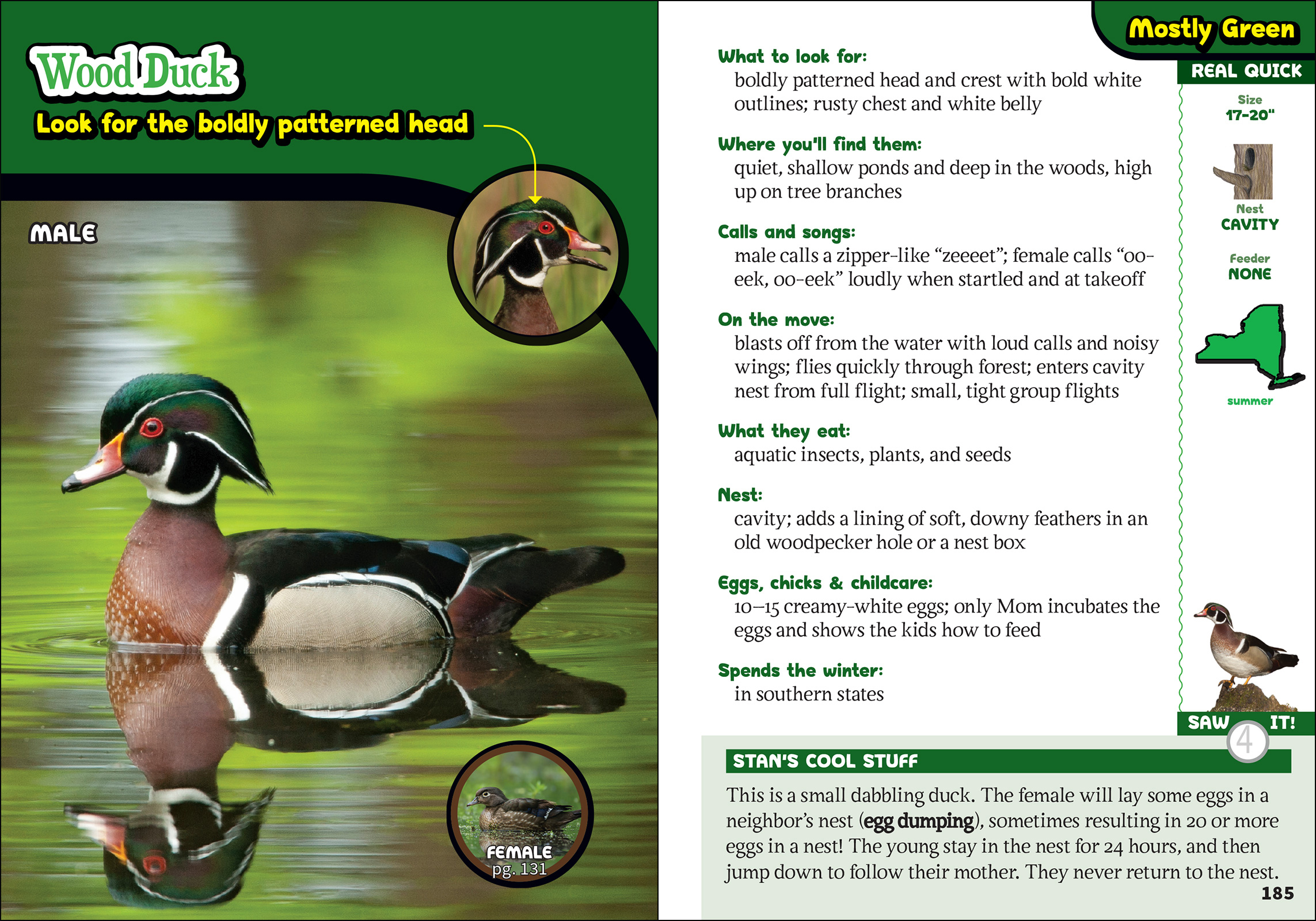 The Kids' Guide to Birds of New York