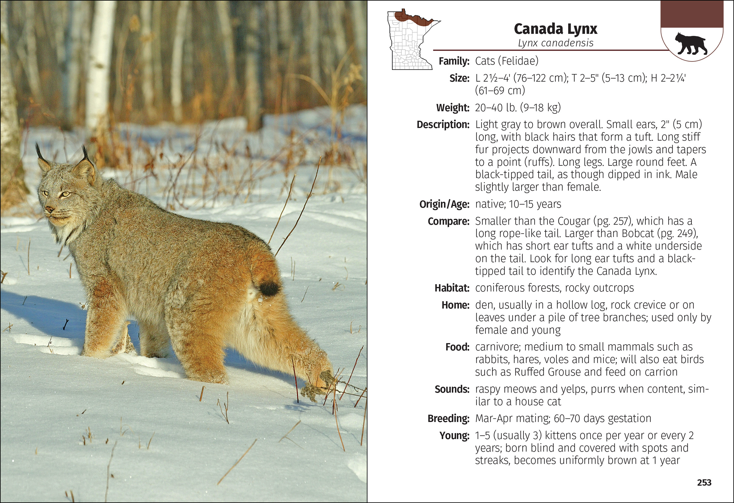 Mammals of Minnesota Field Guide