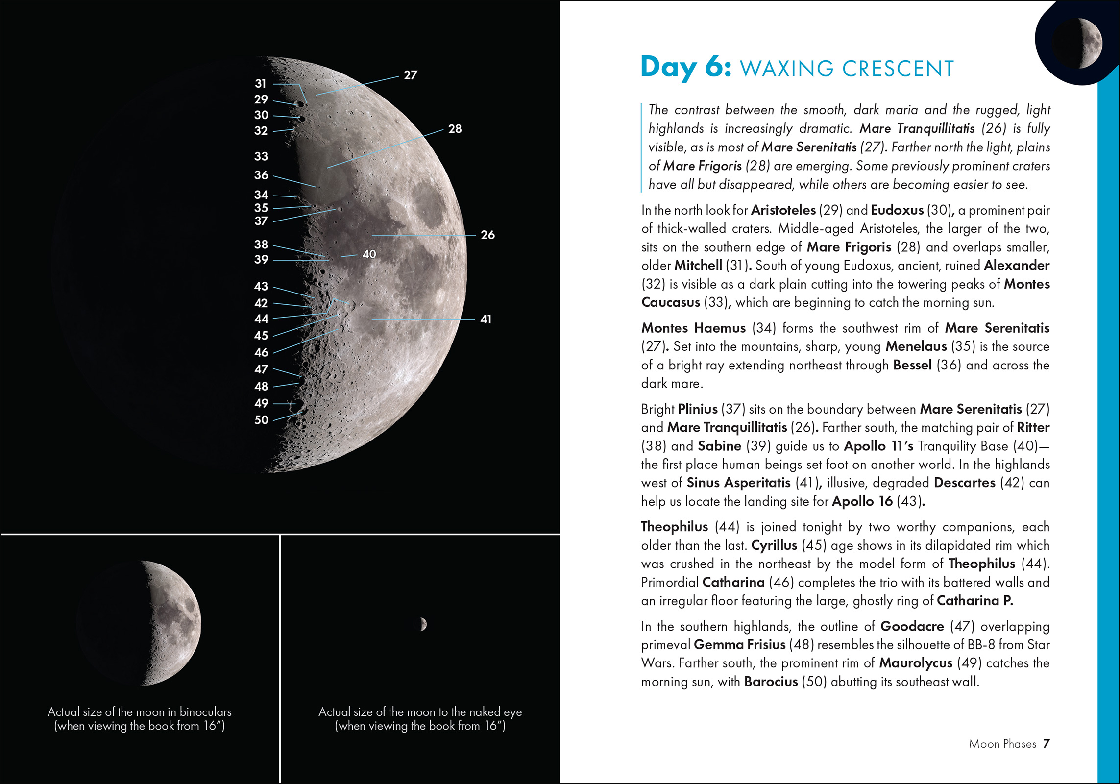 Get to Know the Moon