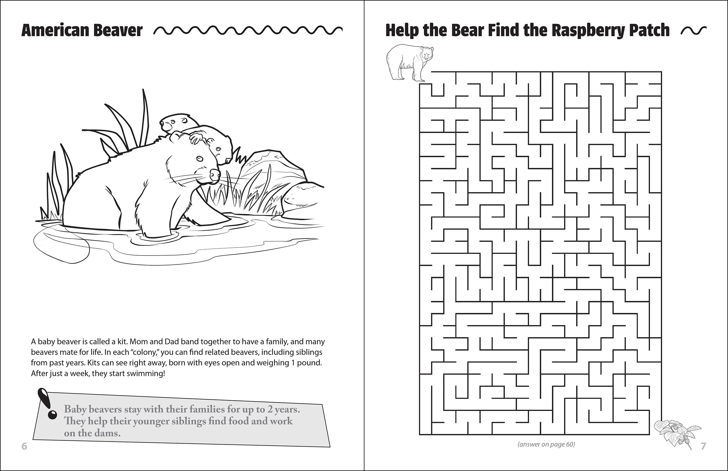Mama & Baby Animals Activity Book