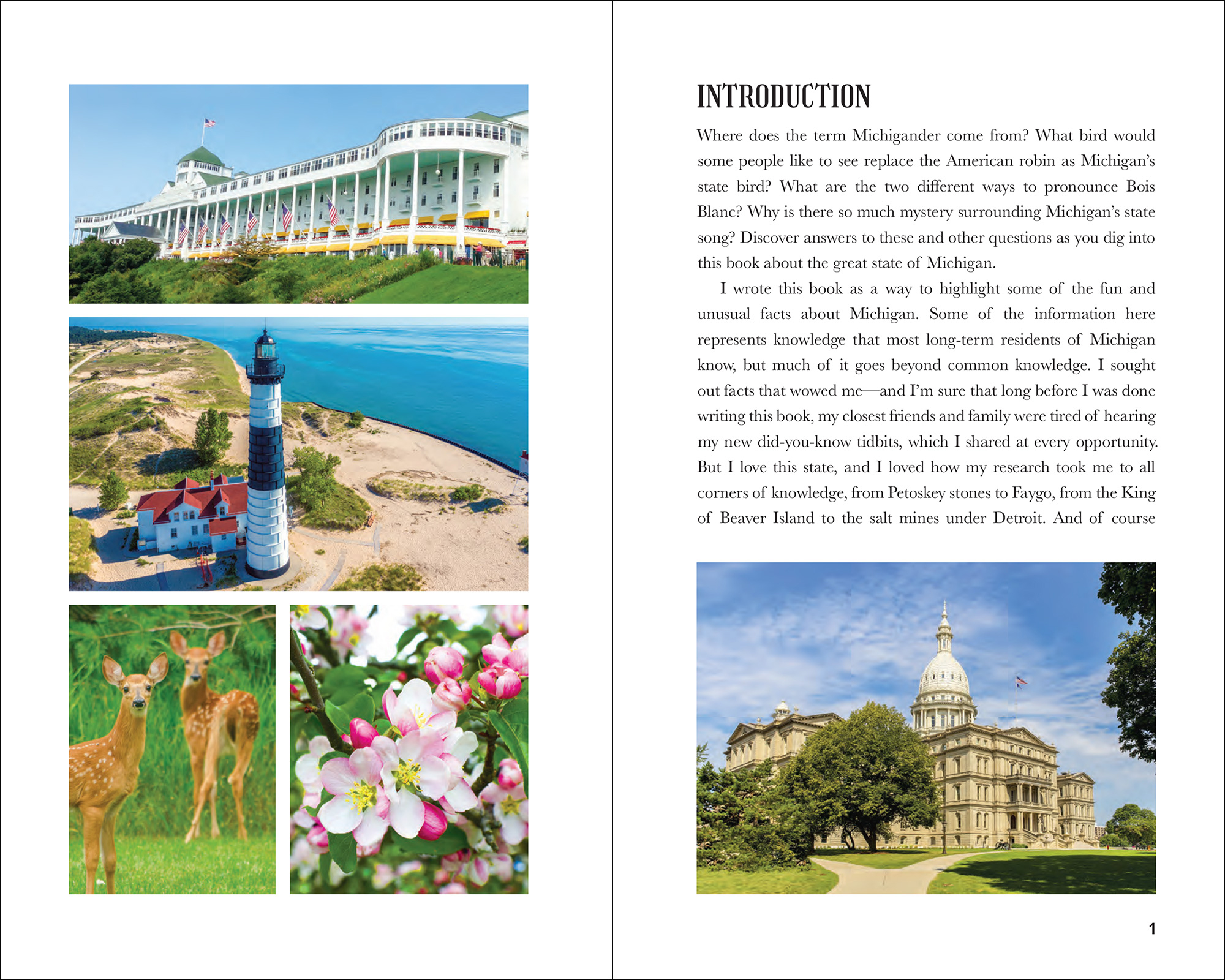 Curious & Fascinating Facts: Michigan