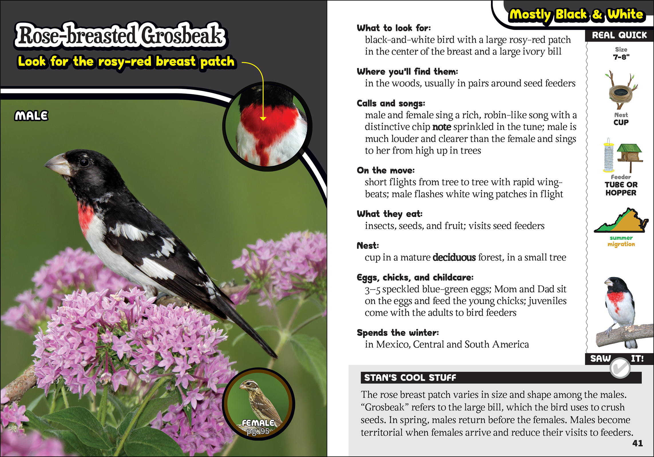 The Kids' Guide to Birds of Virginia