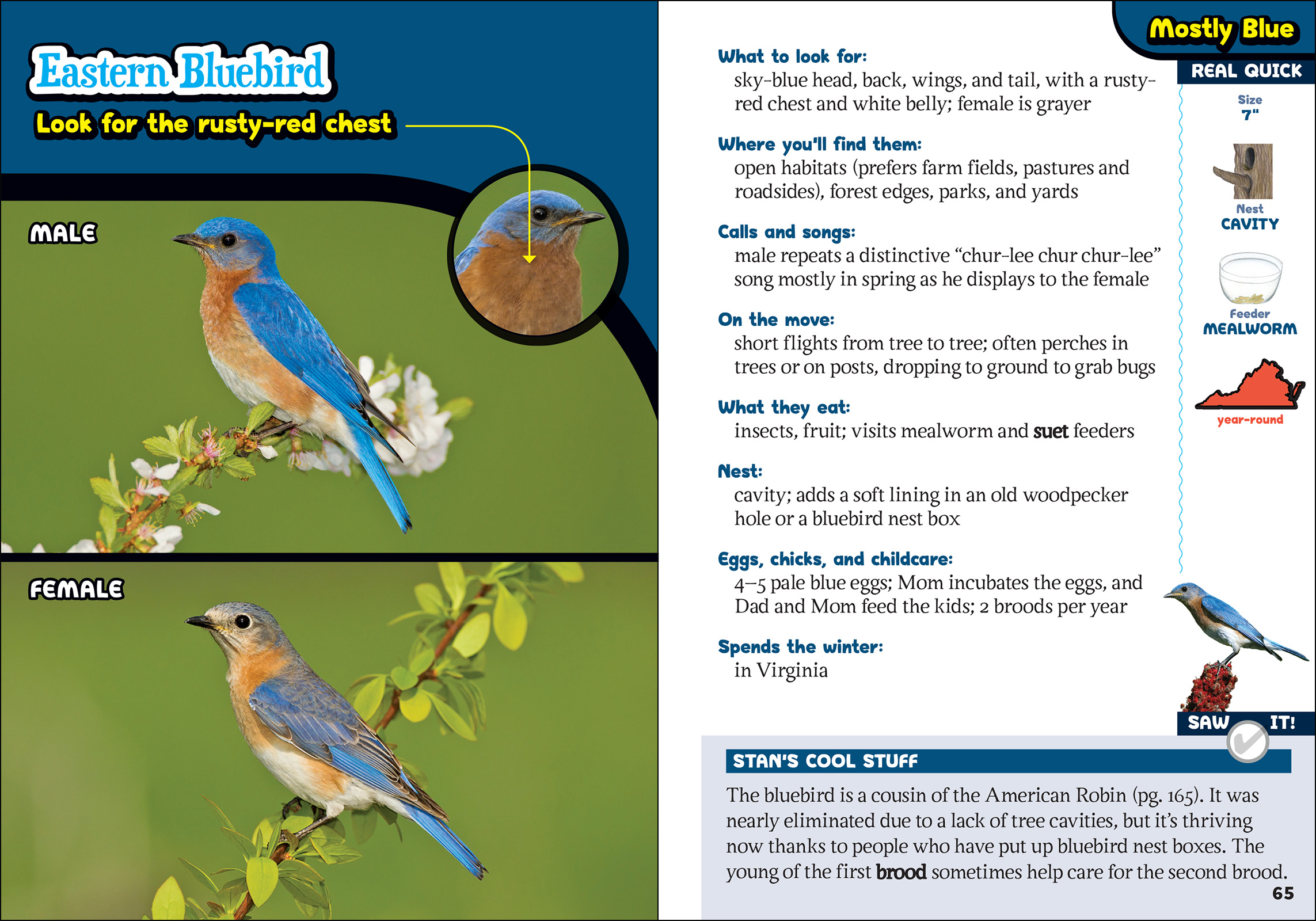 The Kids' Guide to Birds of Virginia