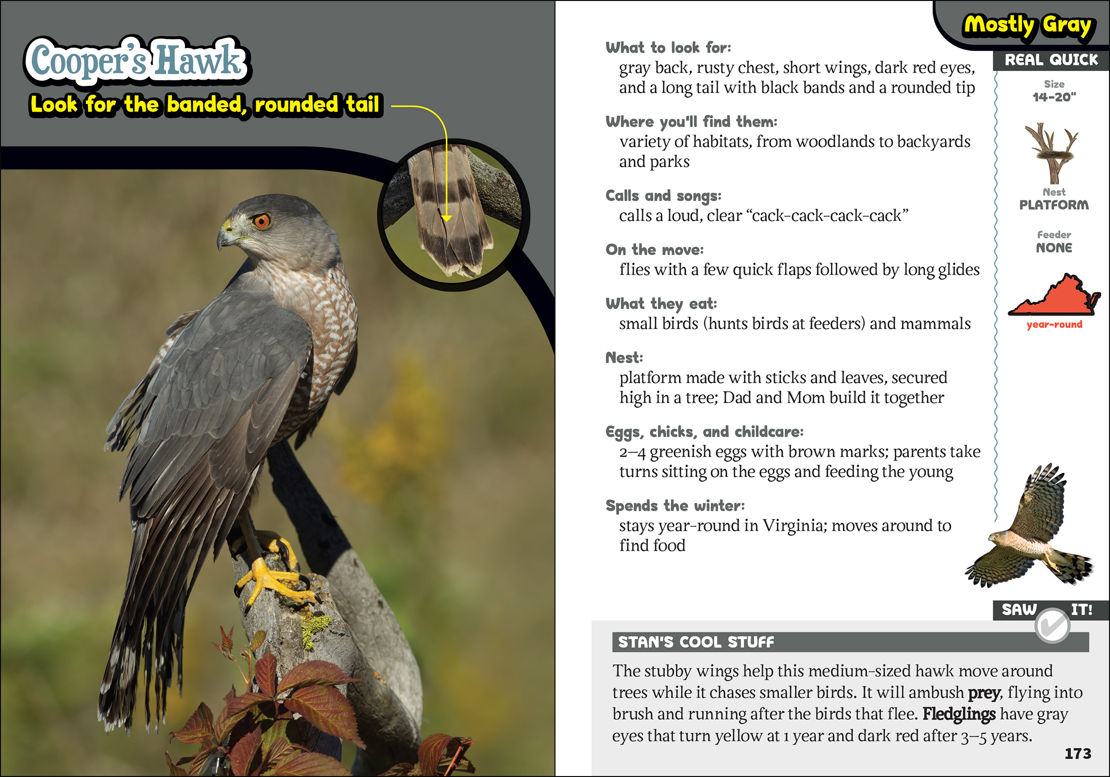 The Kids' Guide to Birds of Virginia