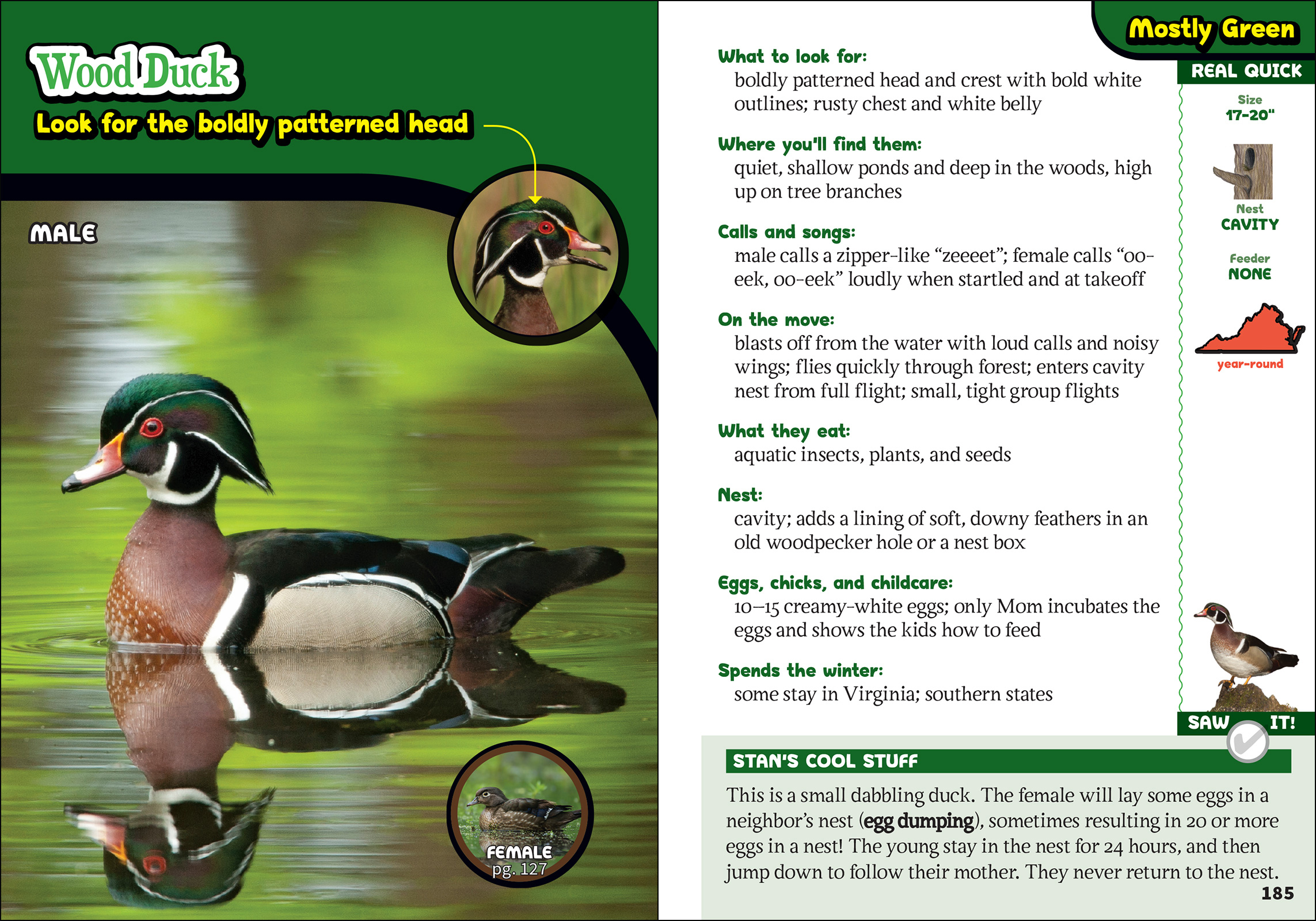 The Kids' Guide to Birds of Virginia