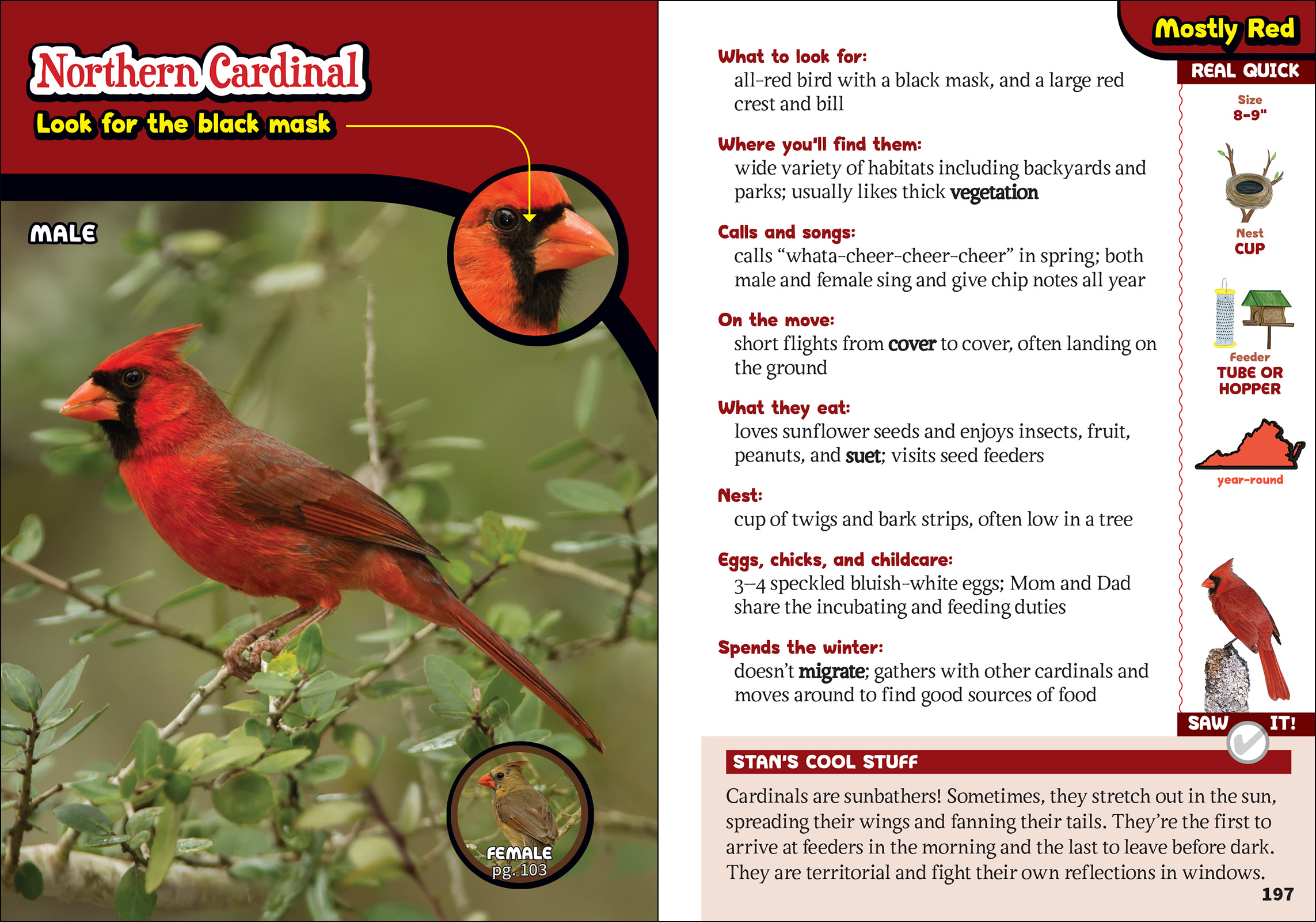 The Kids' Guide to Birds of Virginia