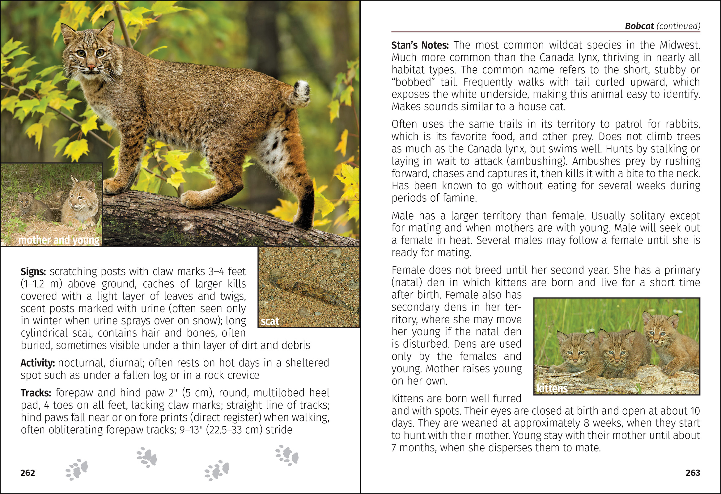 Mammals of the Midwest Field Guide