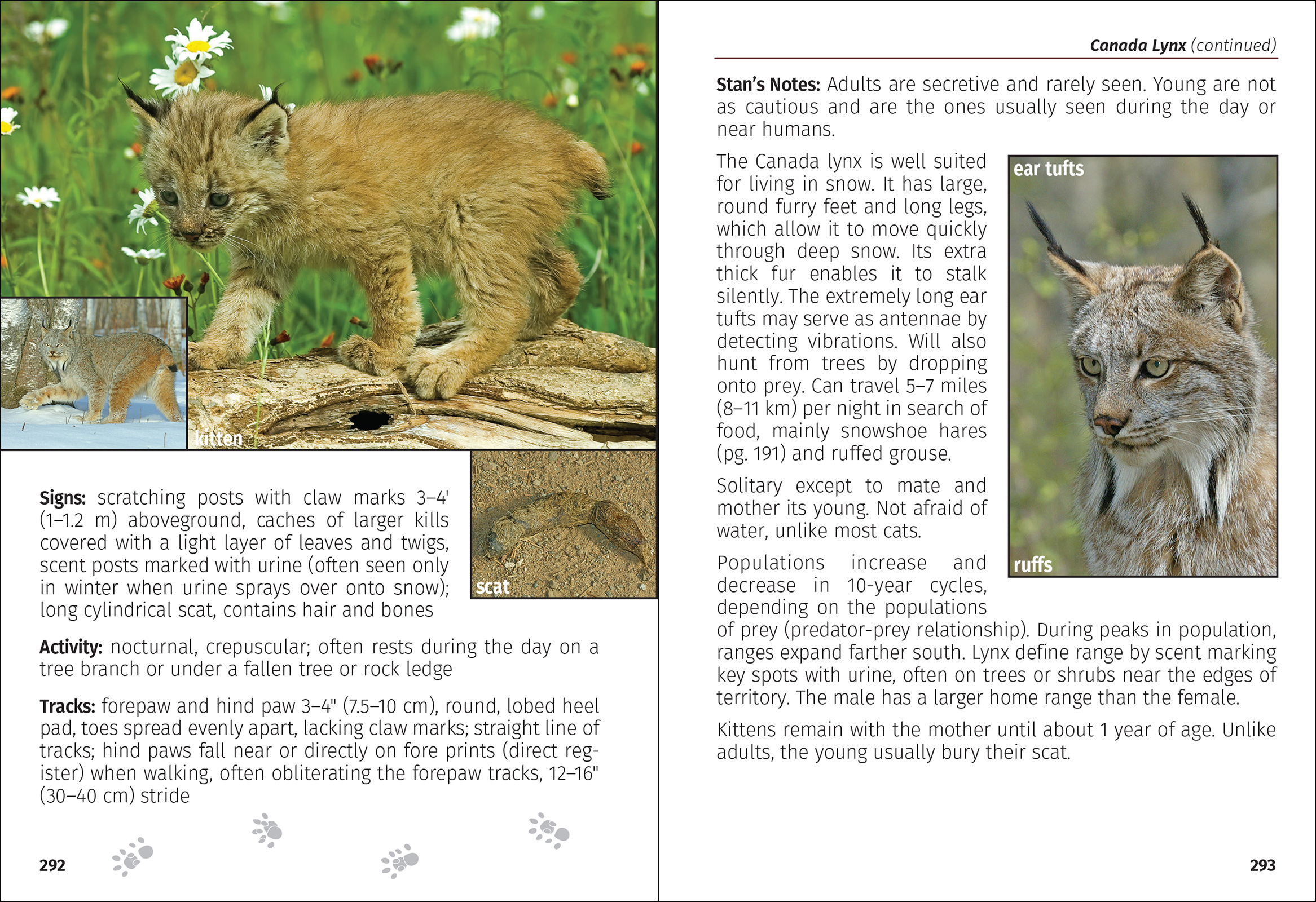 Mammals of the Northwest Field Guide