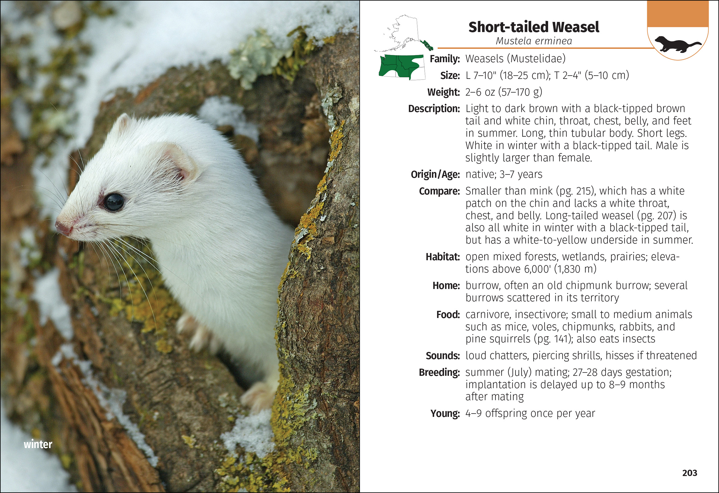 Mammals of the Northwest Field Guide