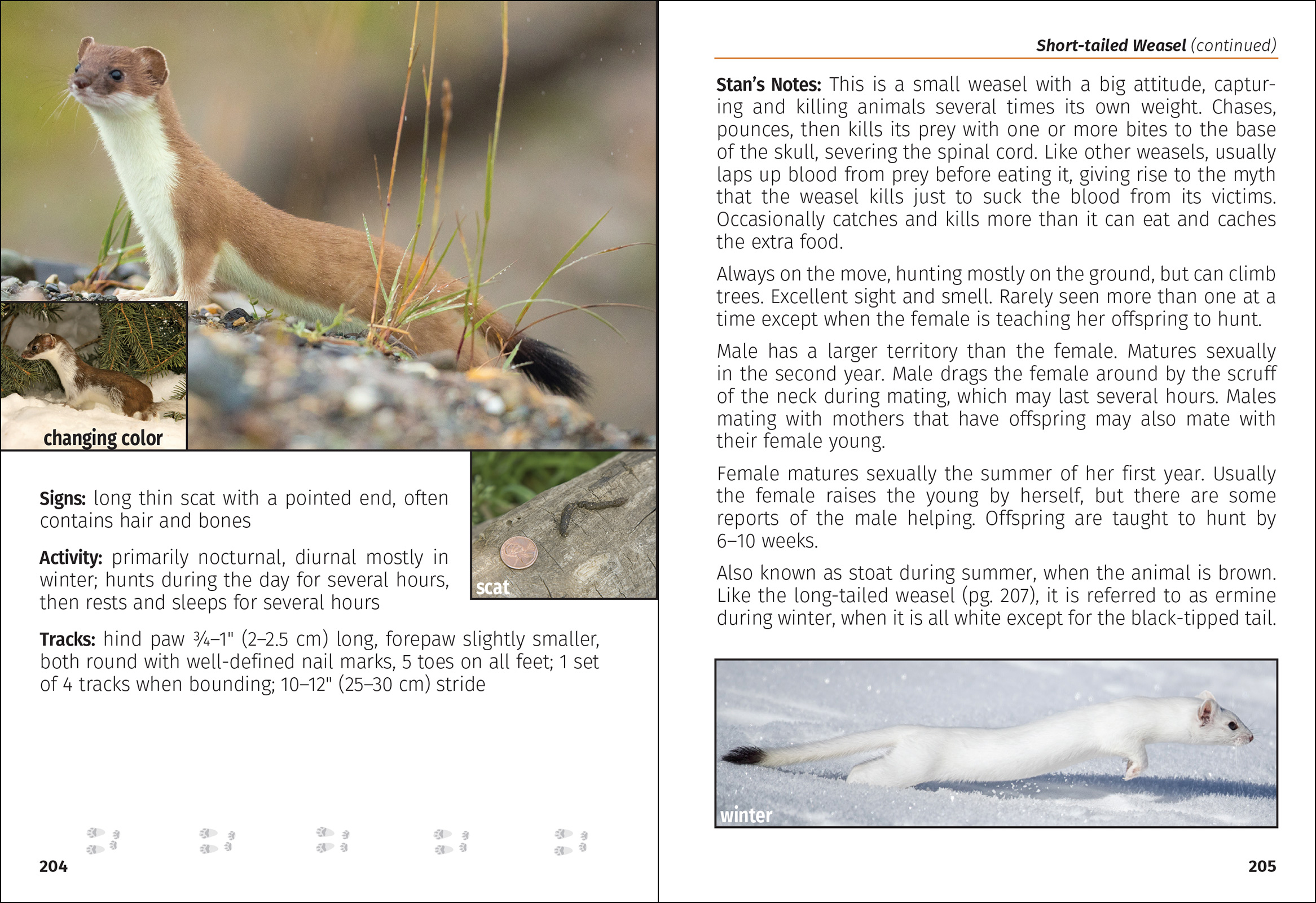 Mammals of the Northwest Field Guide