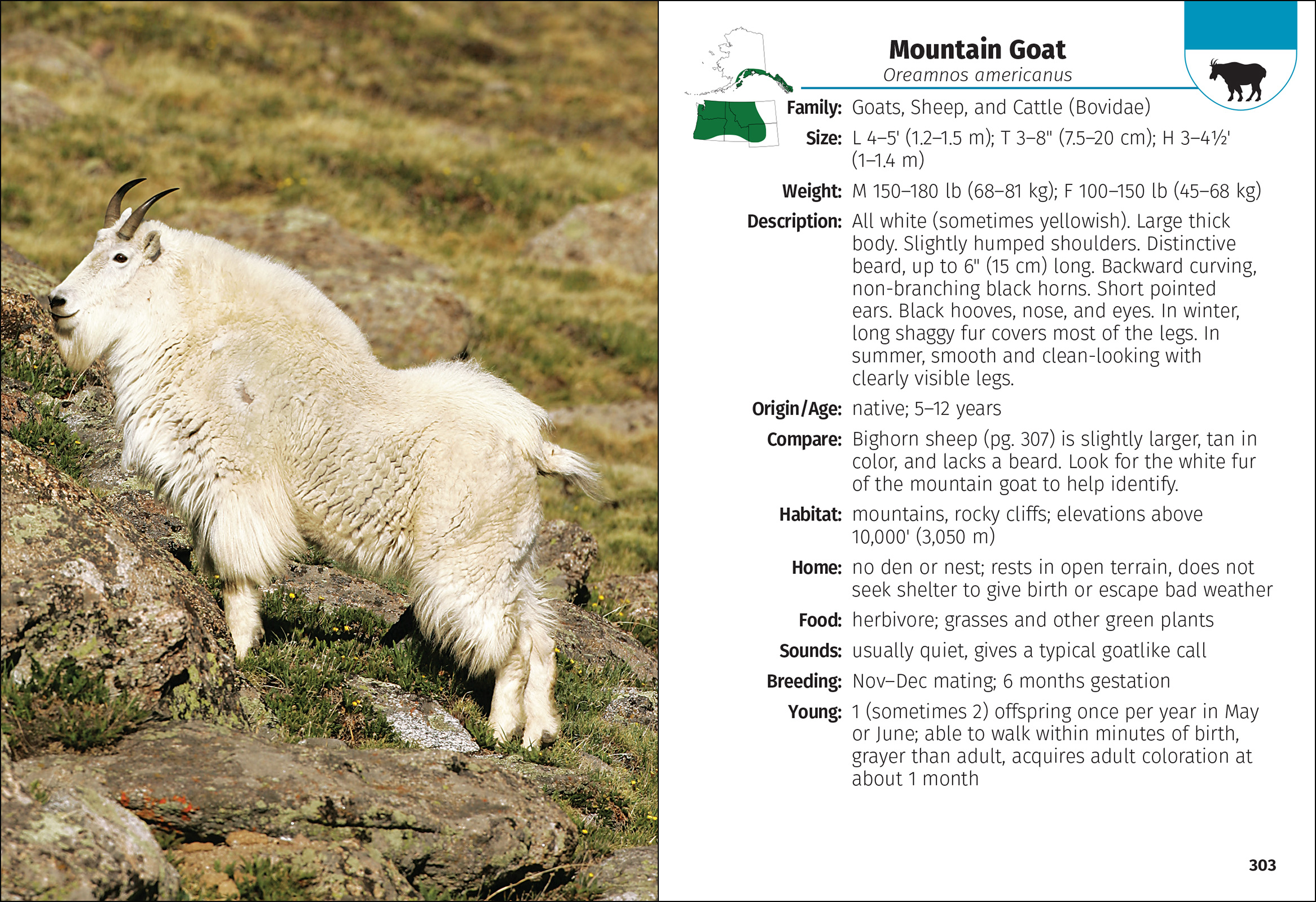 Mammals of the Northwest Field Guide