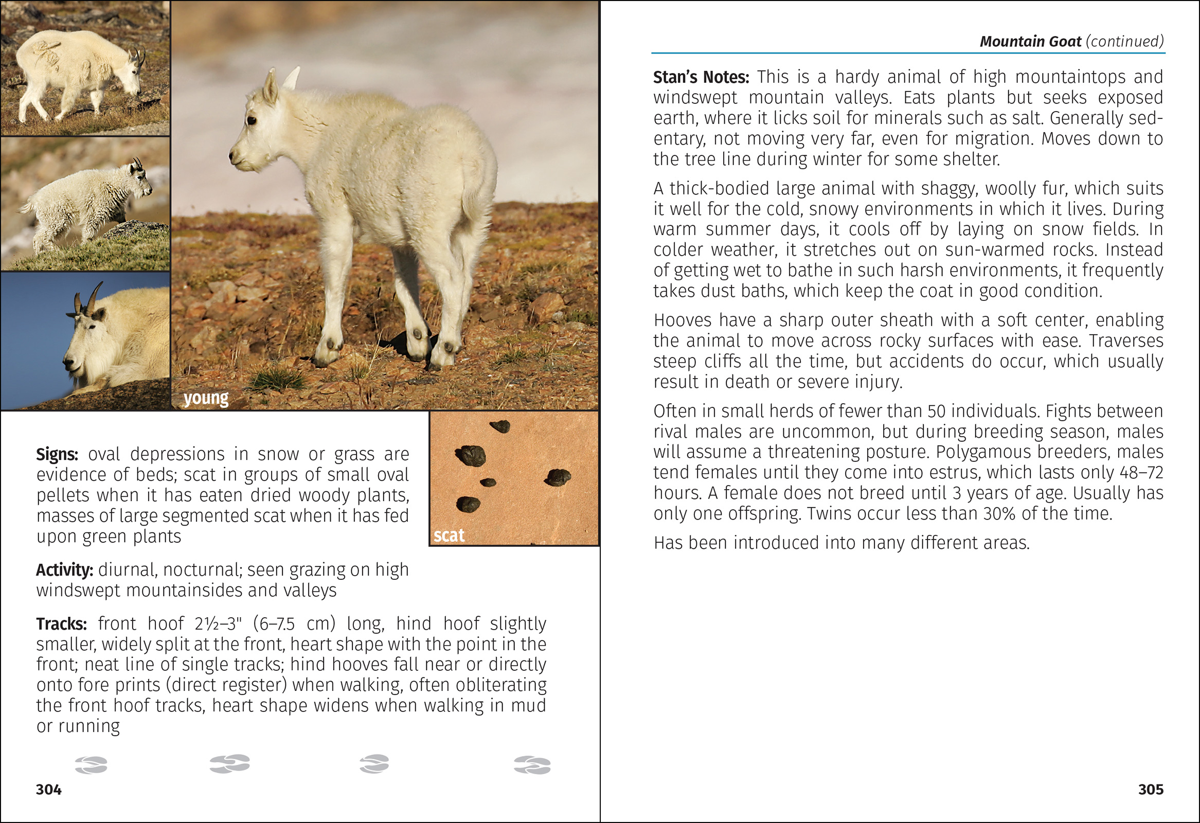 Mammals of the Northwest Field Guide