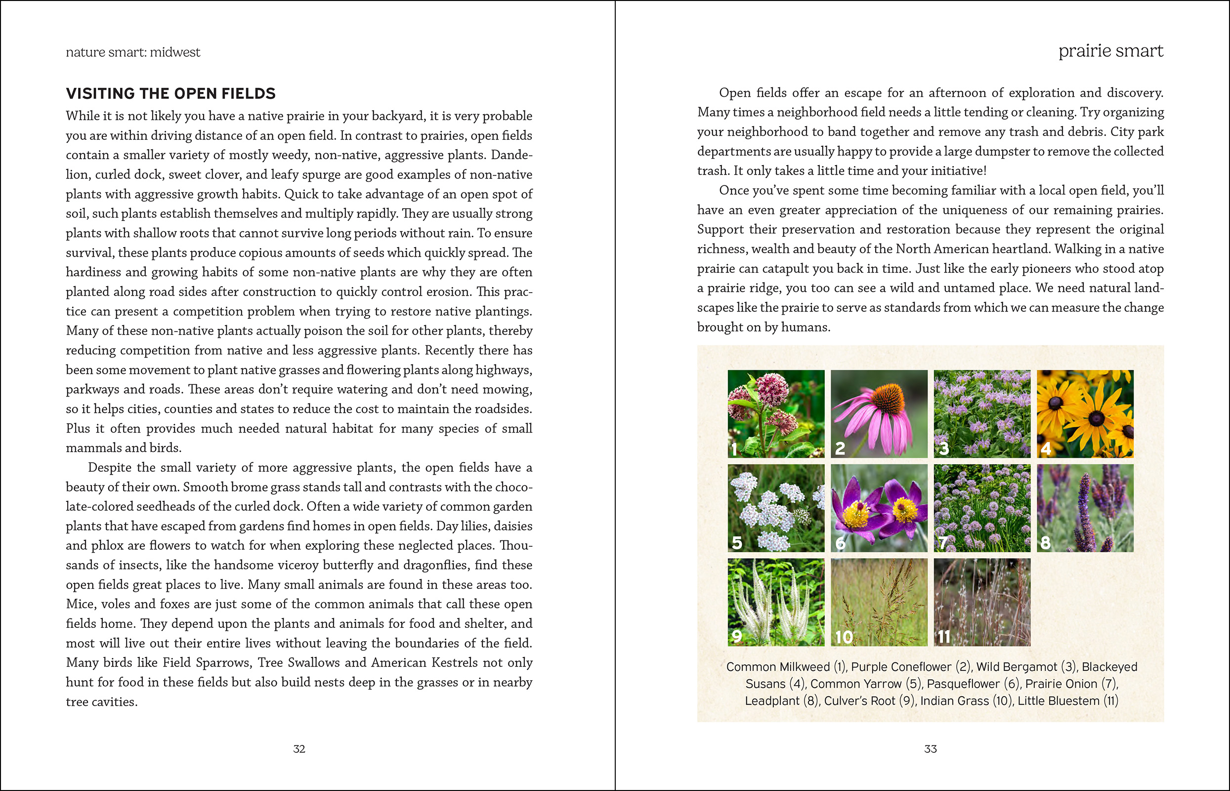 Nature Smart: Midwest