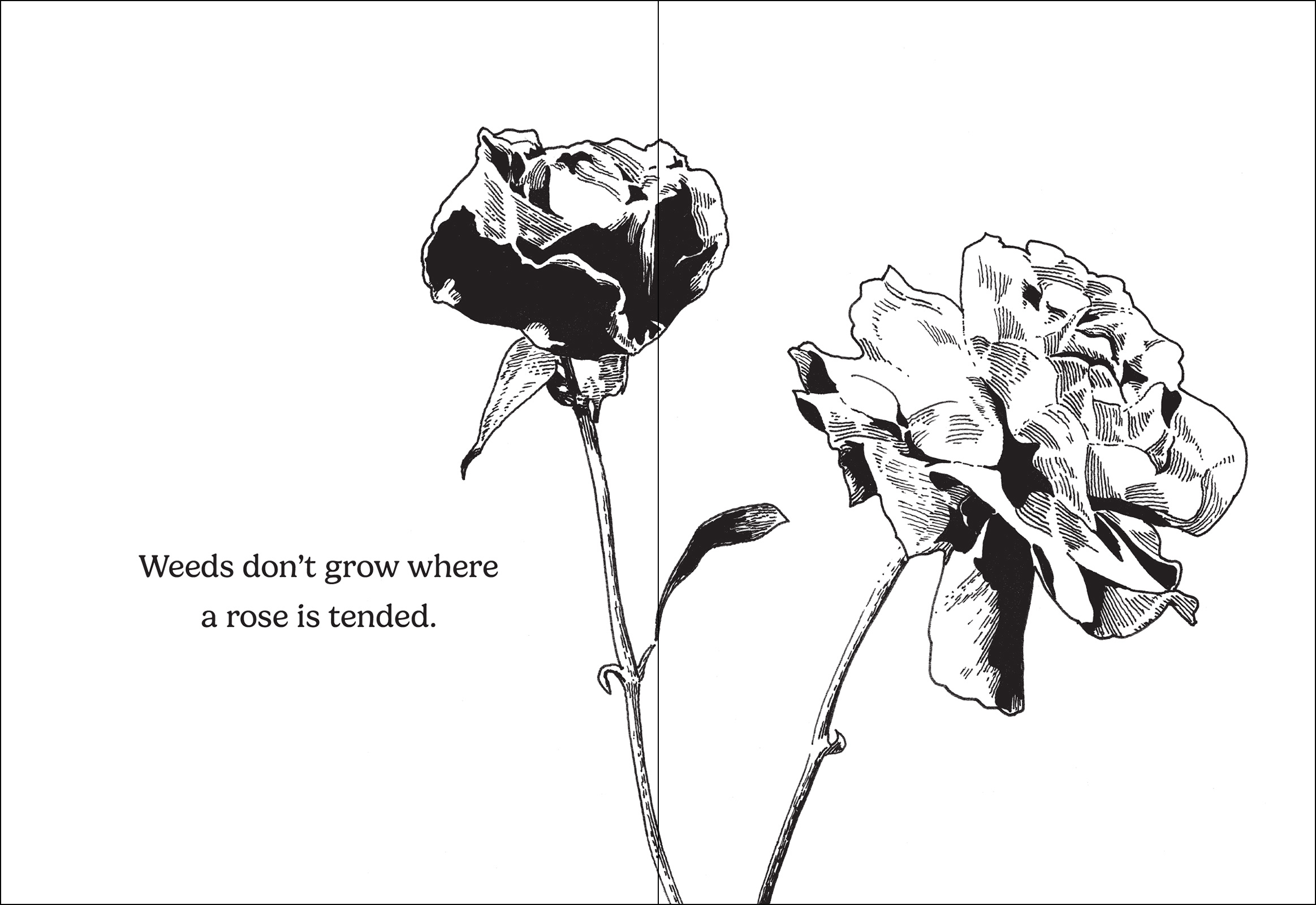 How Does Your Garden Grow?