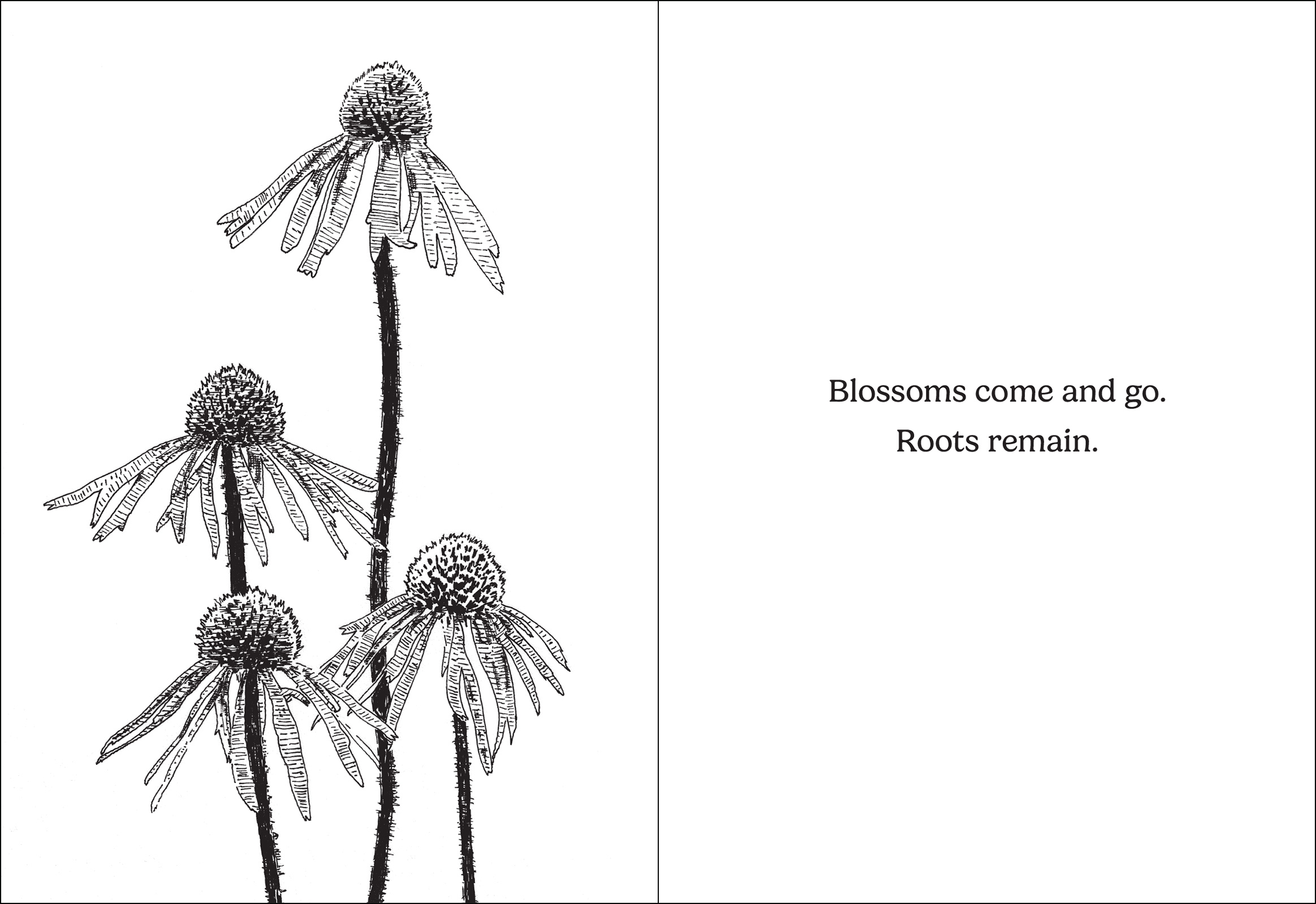 How Does Your Garden Grow?