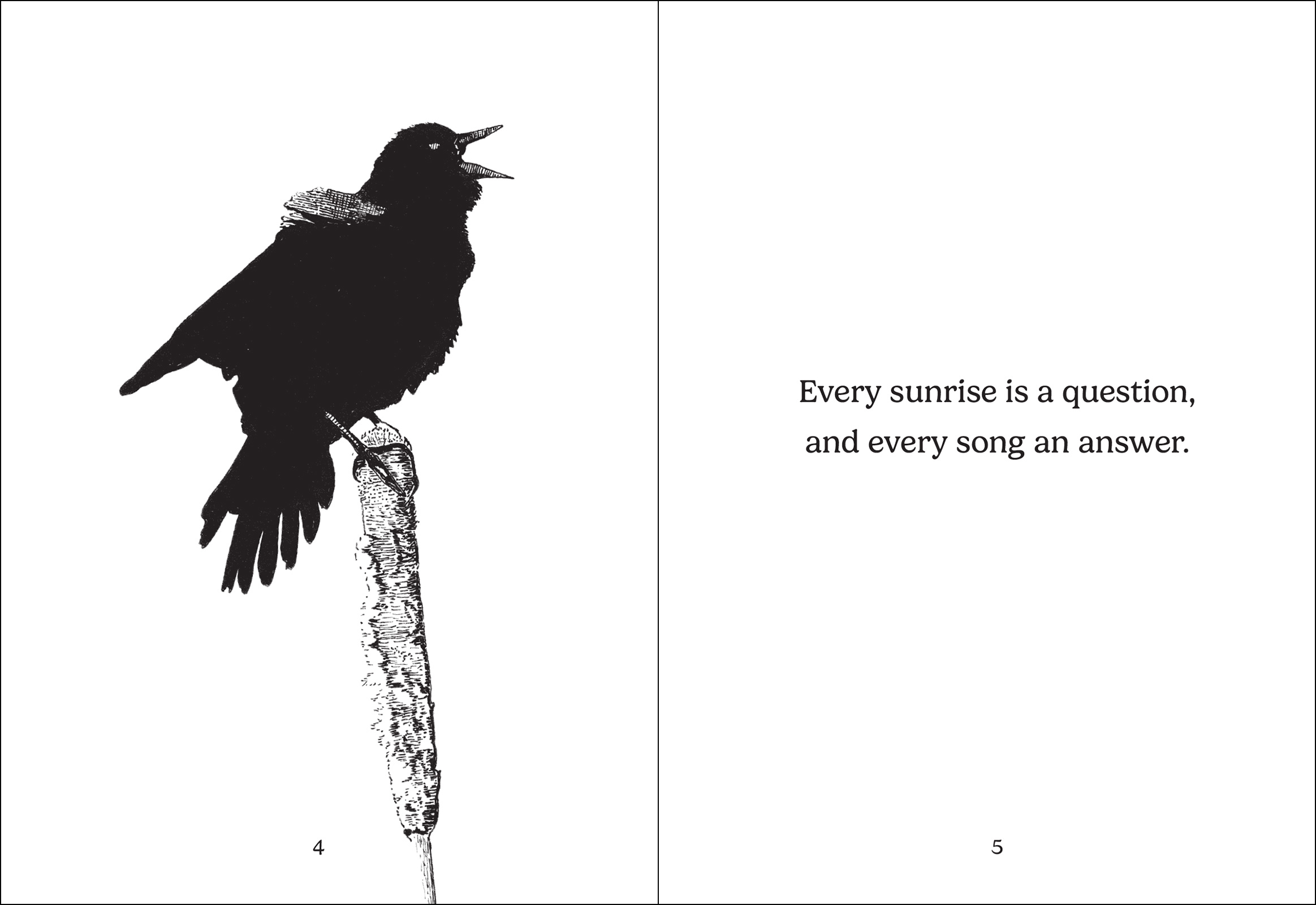 The Thing with Feathers