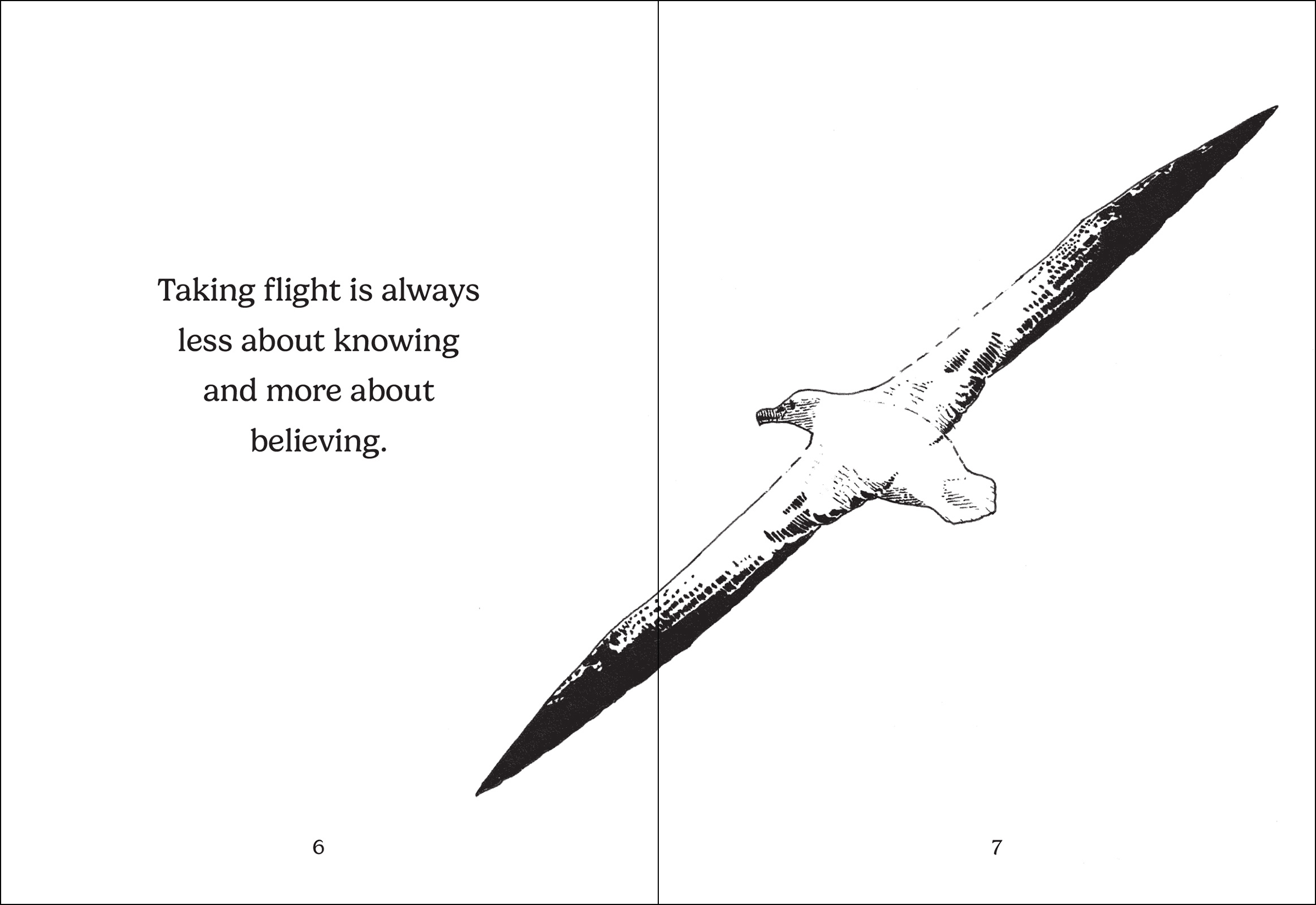 The Thing with Feathers