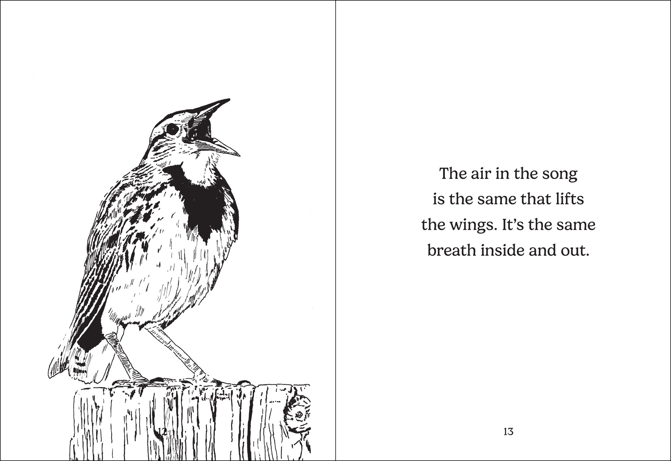 The Thing with Feathers