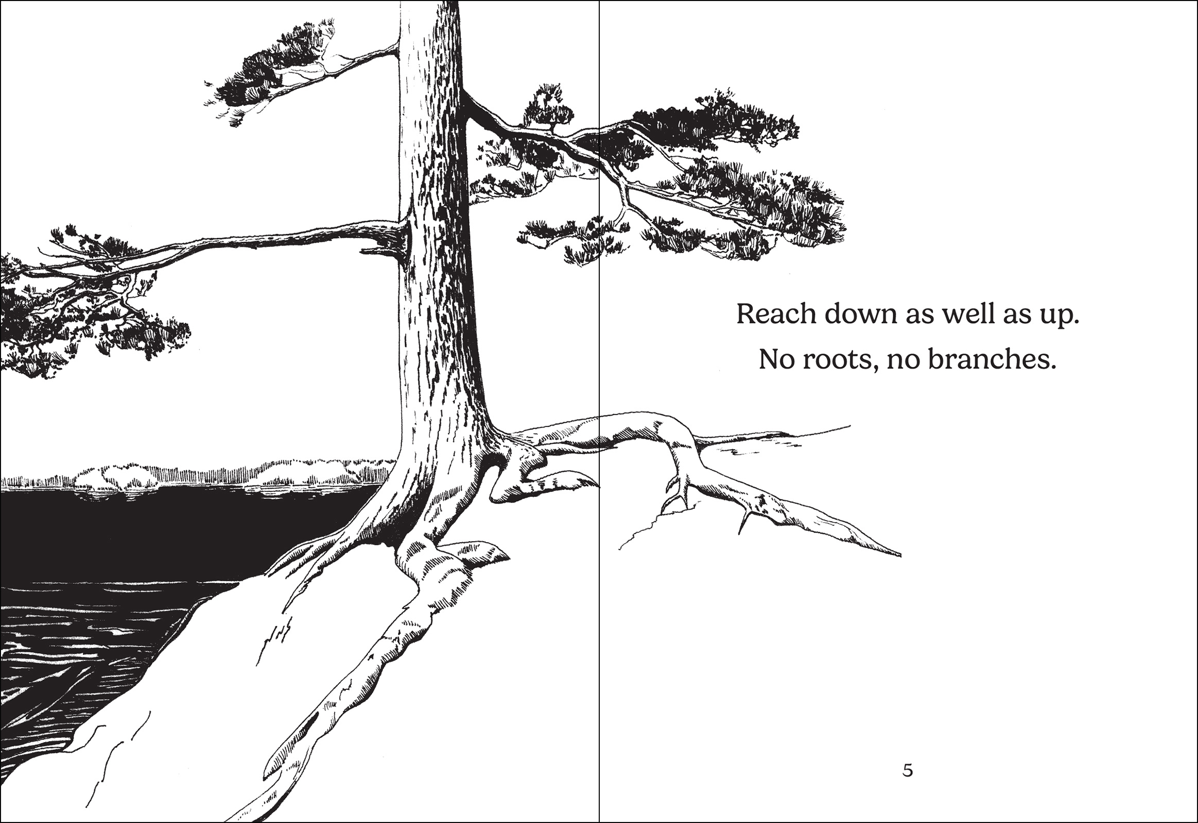 The Things Trees Know